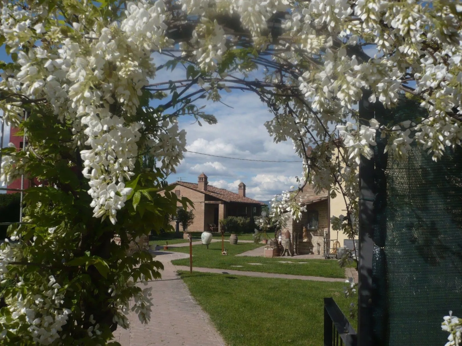 Haubentaucher-Buiten