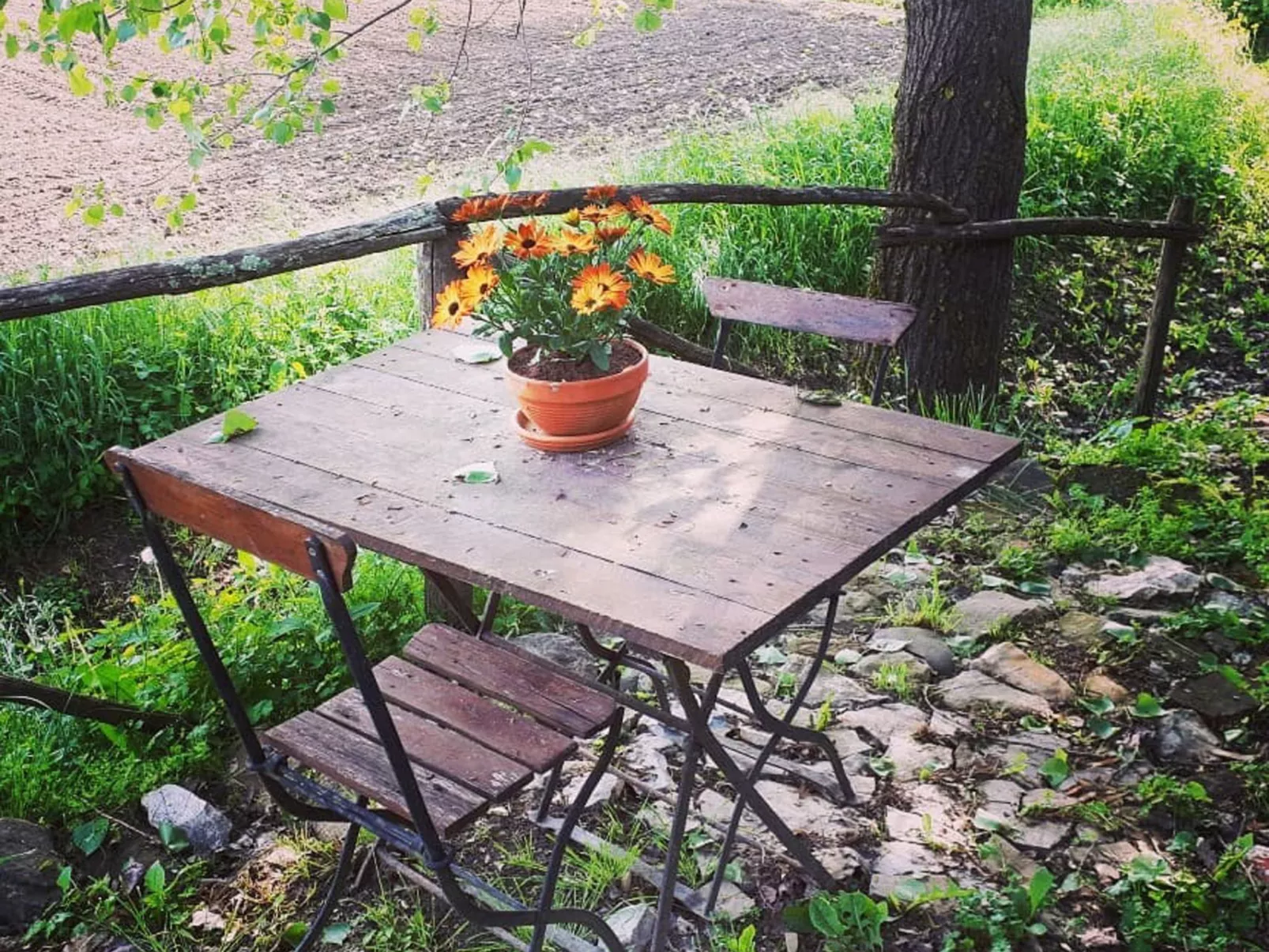 Landgut "Il Molino" mit Terrasse und Garten-Buiten