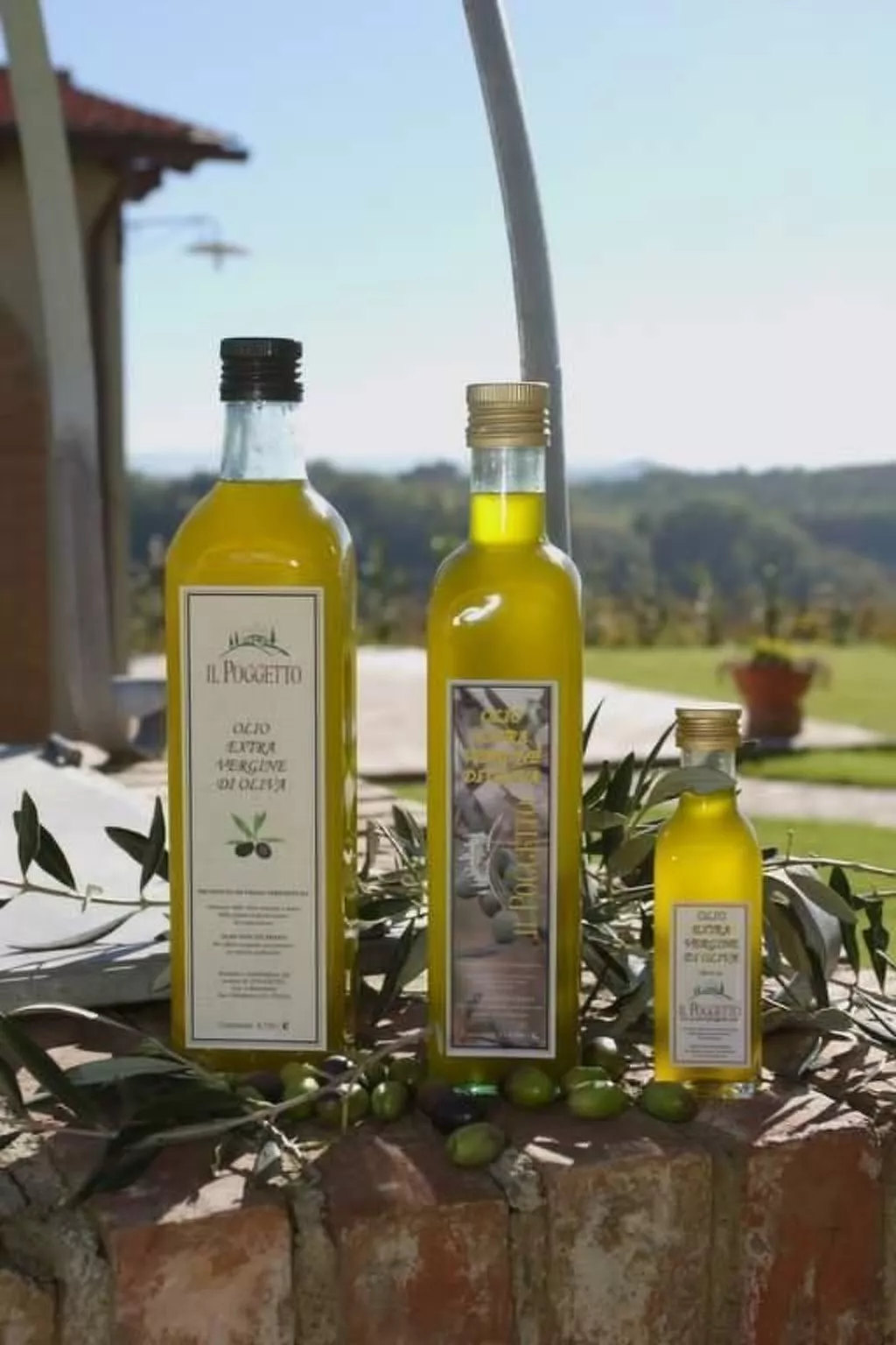 Panorama wohnung IL GIRASOLE-Image-tags.info