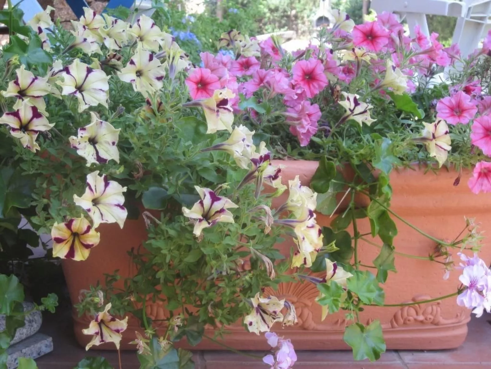 Charmante Wohnung Lungomare Cannigione-Image-tags.info