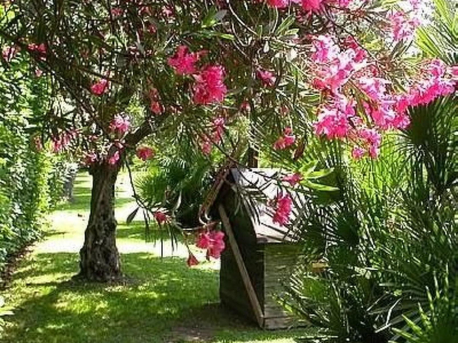 Wohnung in Strandnähe-Image-tags.info