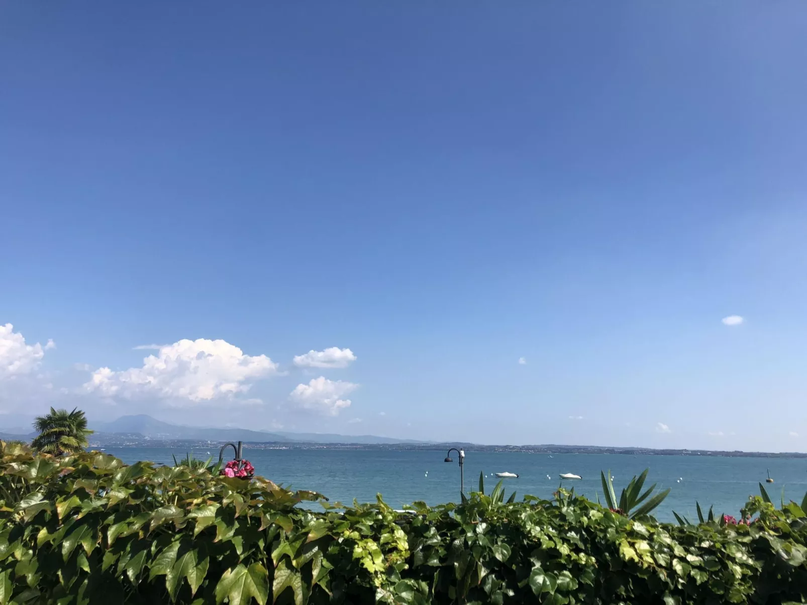 Gemütliche Zweizimmerwohnung mit Balkon-Buiten