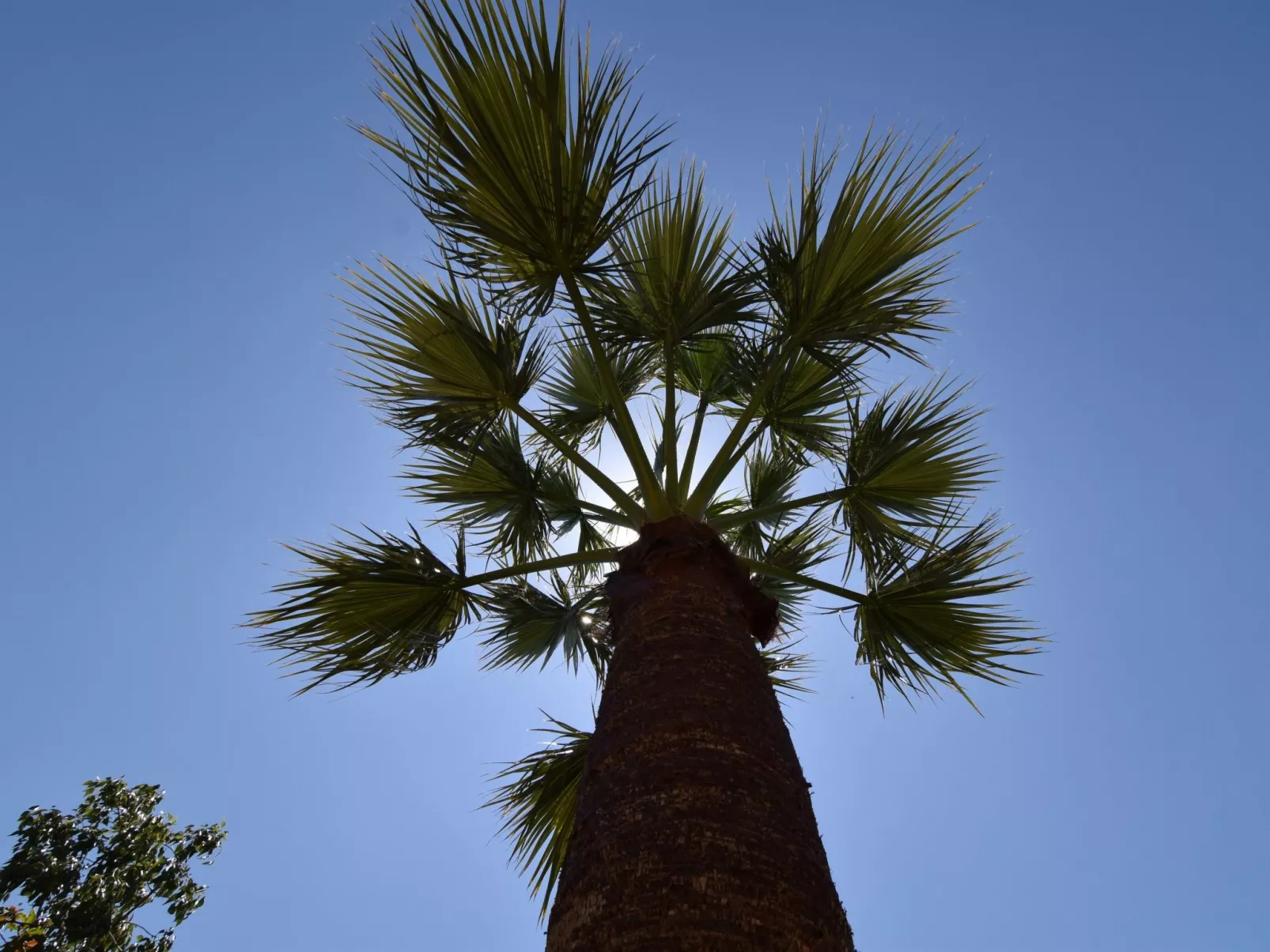 Finca El Corinto - Ein verwunschener Ort-Buiten