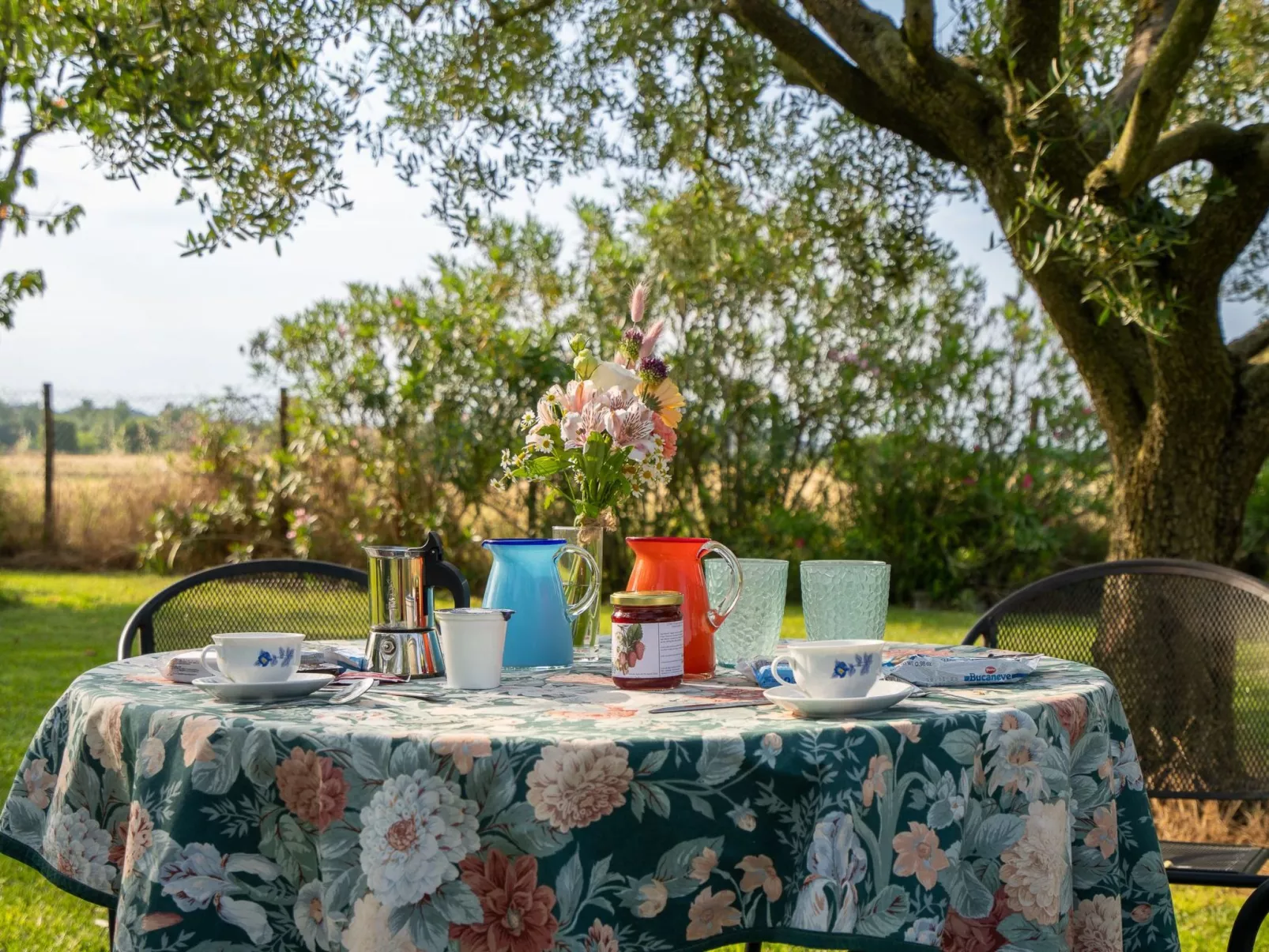 Unterkunft Albio-Buiten