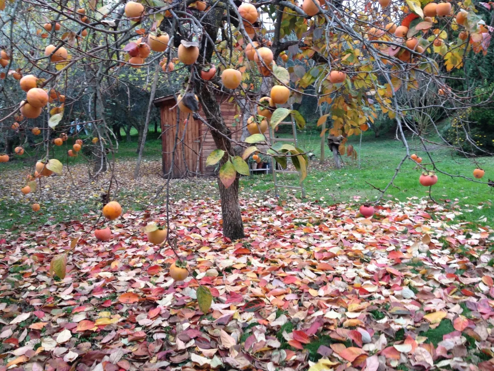 Studio für 2 bis 3 Personen-Image-tags.info