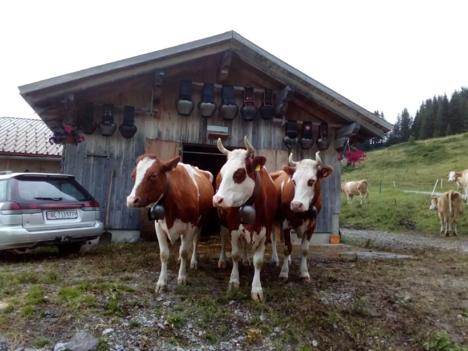 Bühlengasse 6-Buiten