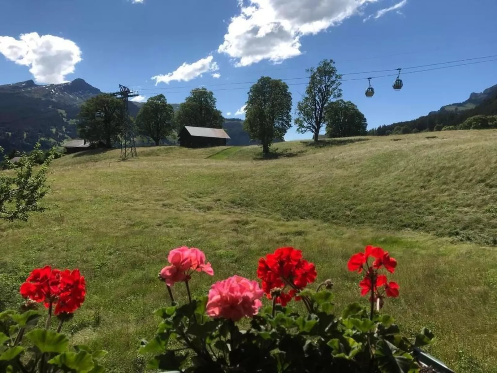 Beim Faulensee 2-Bett Wohnung  1. Stock  West-Image-tags.info