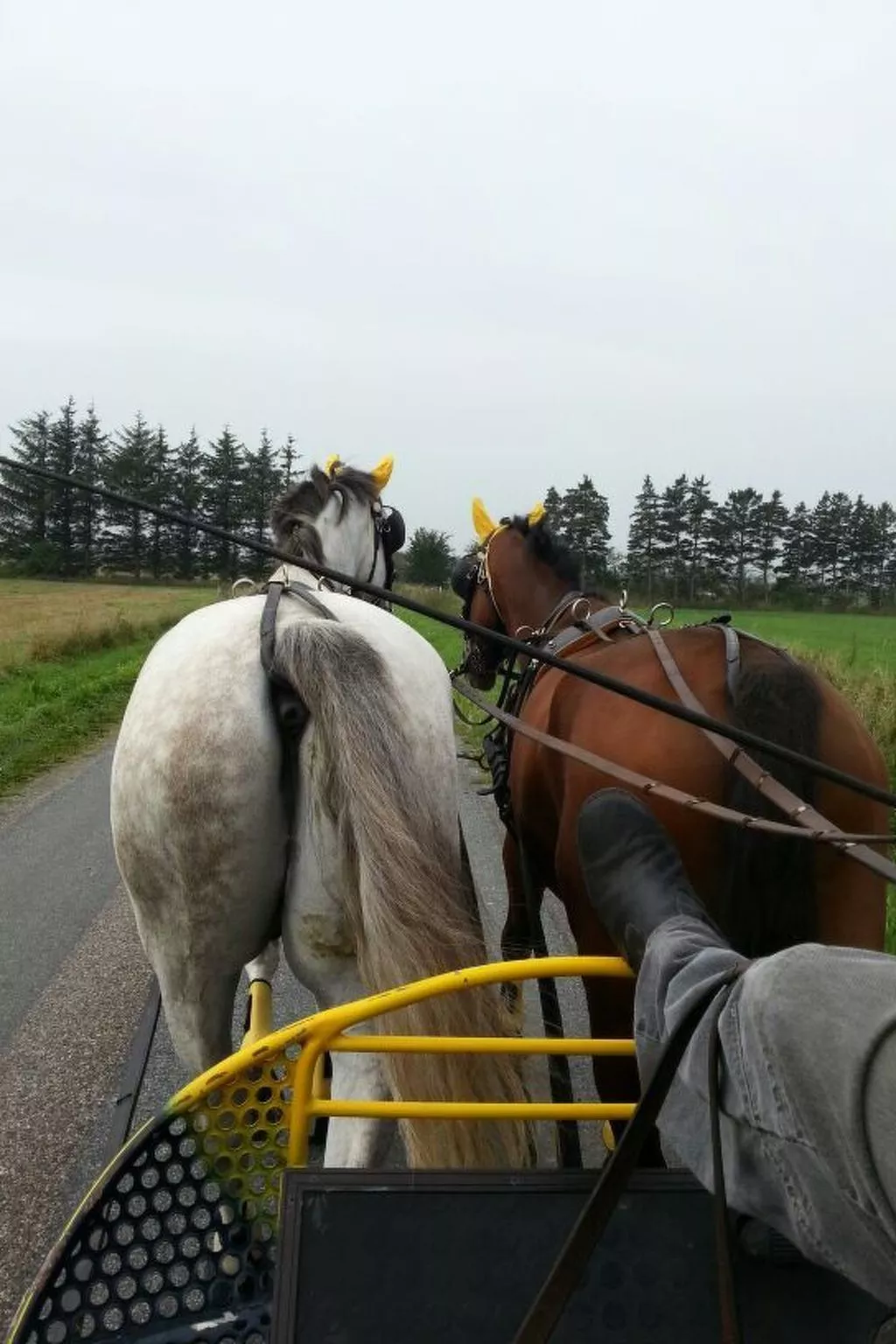 Westrich in guter Ausflugslage-Image-tags.info