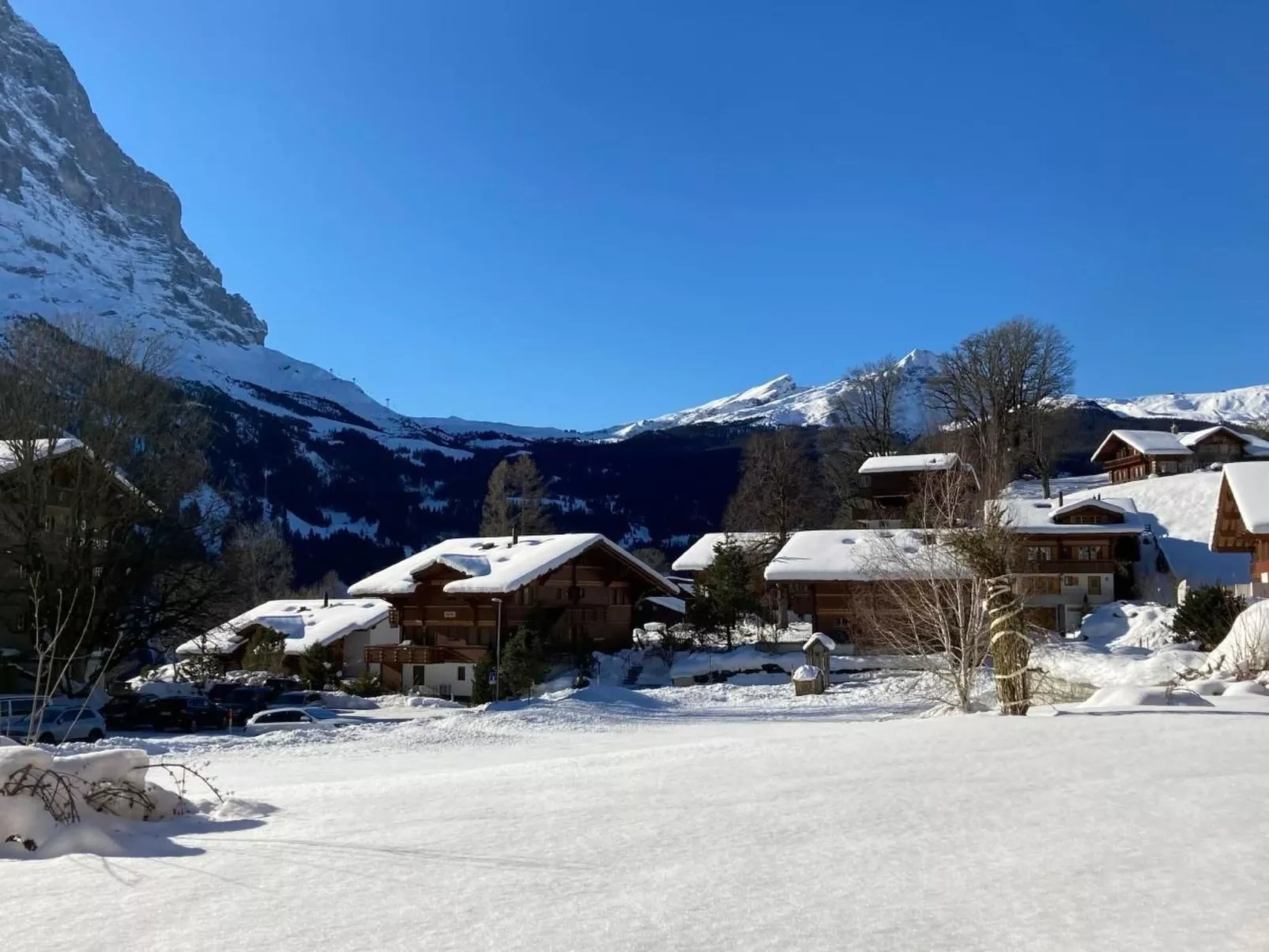 Cosima-Image-tags.info