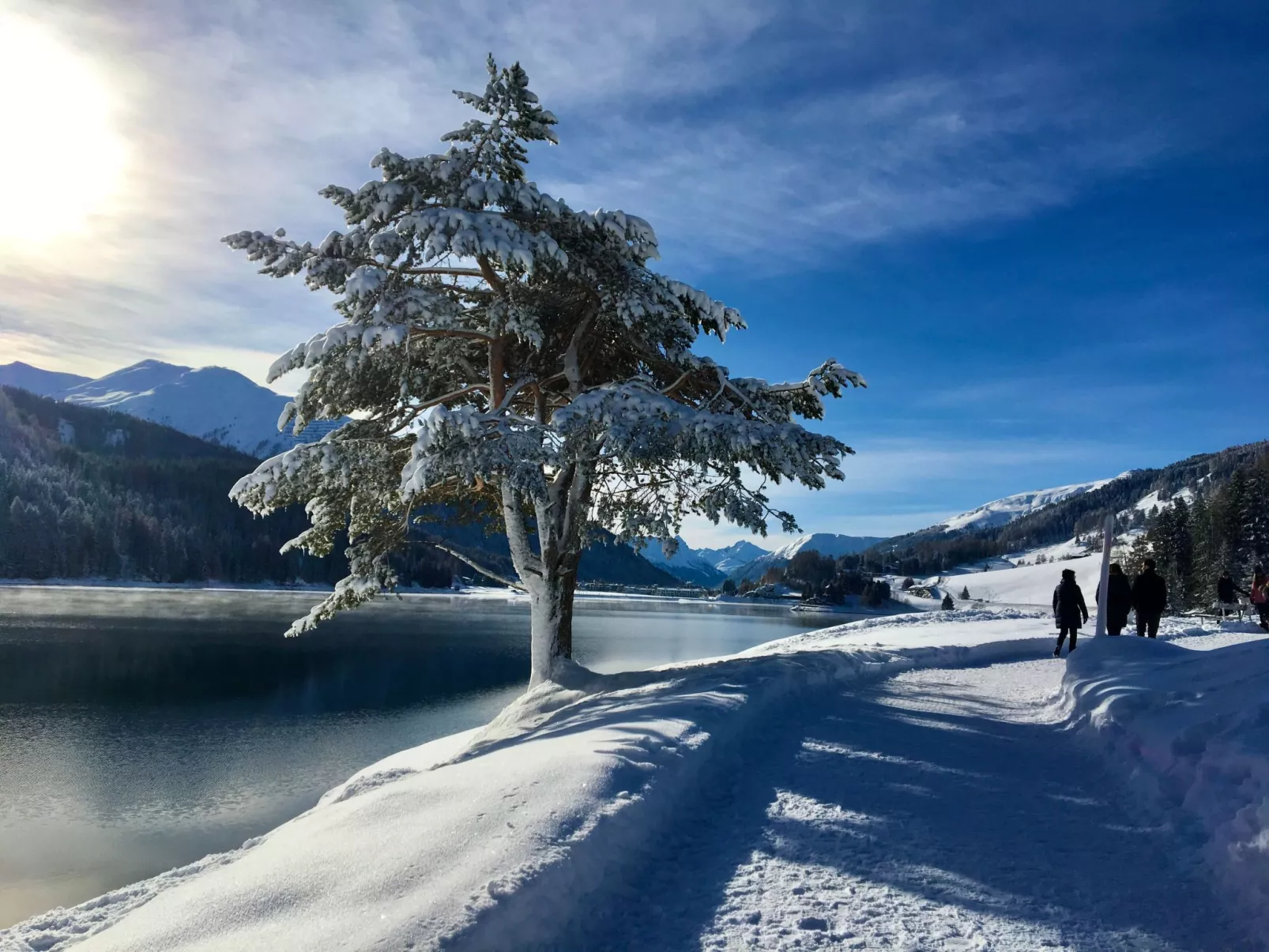 The Holiday Home Davos-Buiten