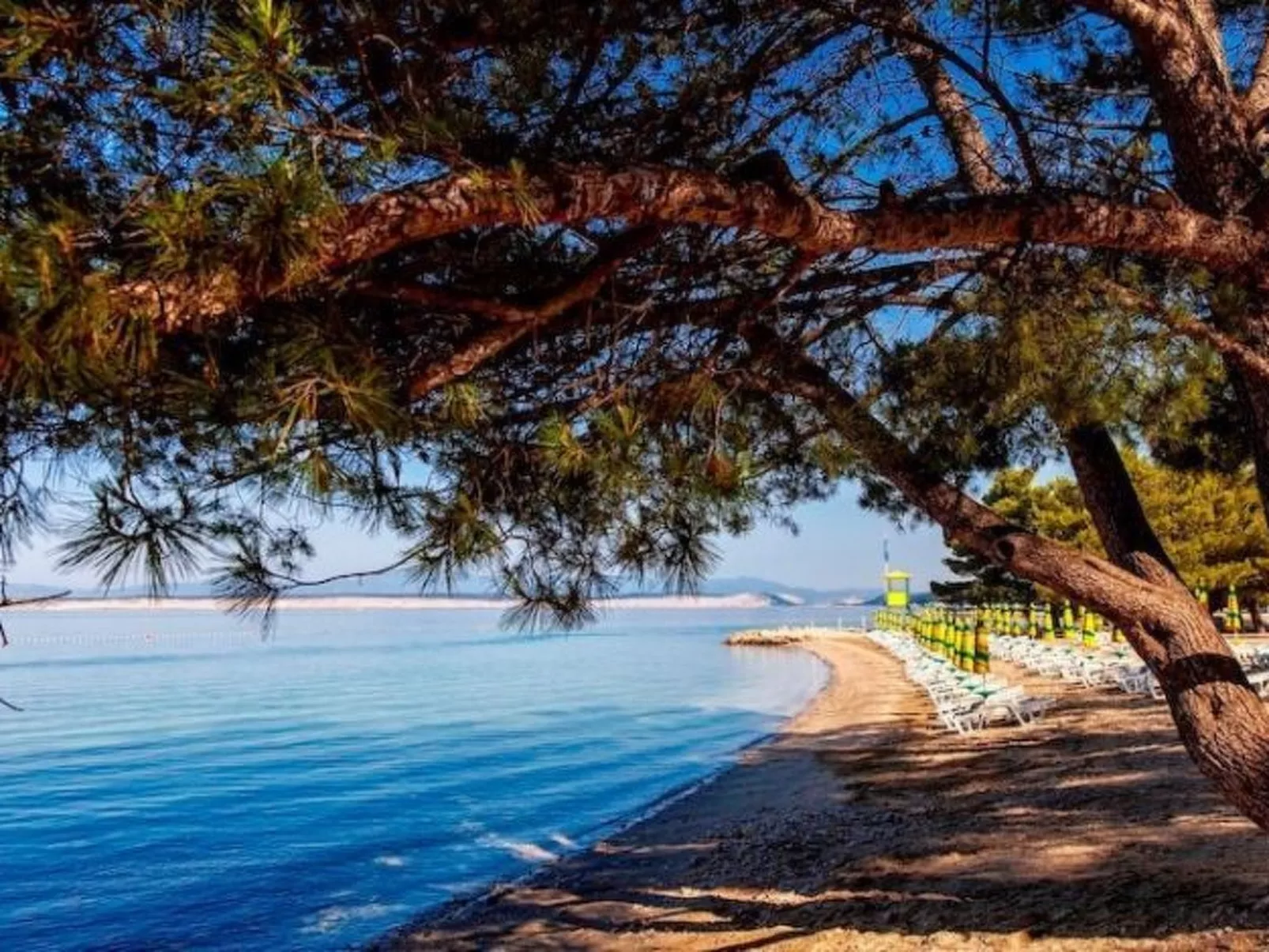 Wohnung für 3 Personen mit Terrasse-Buiten