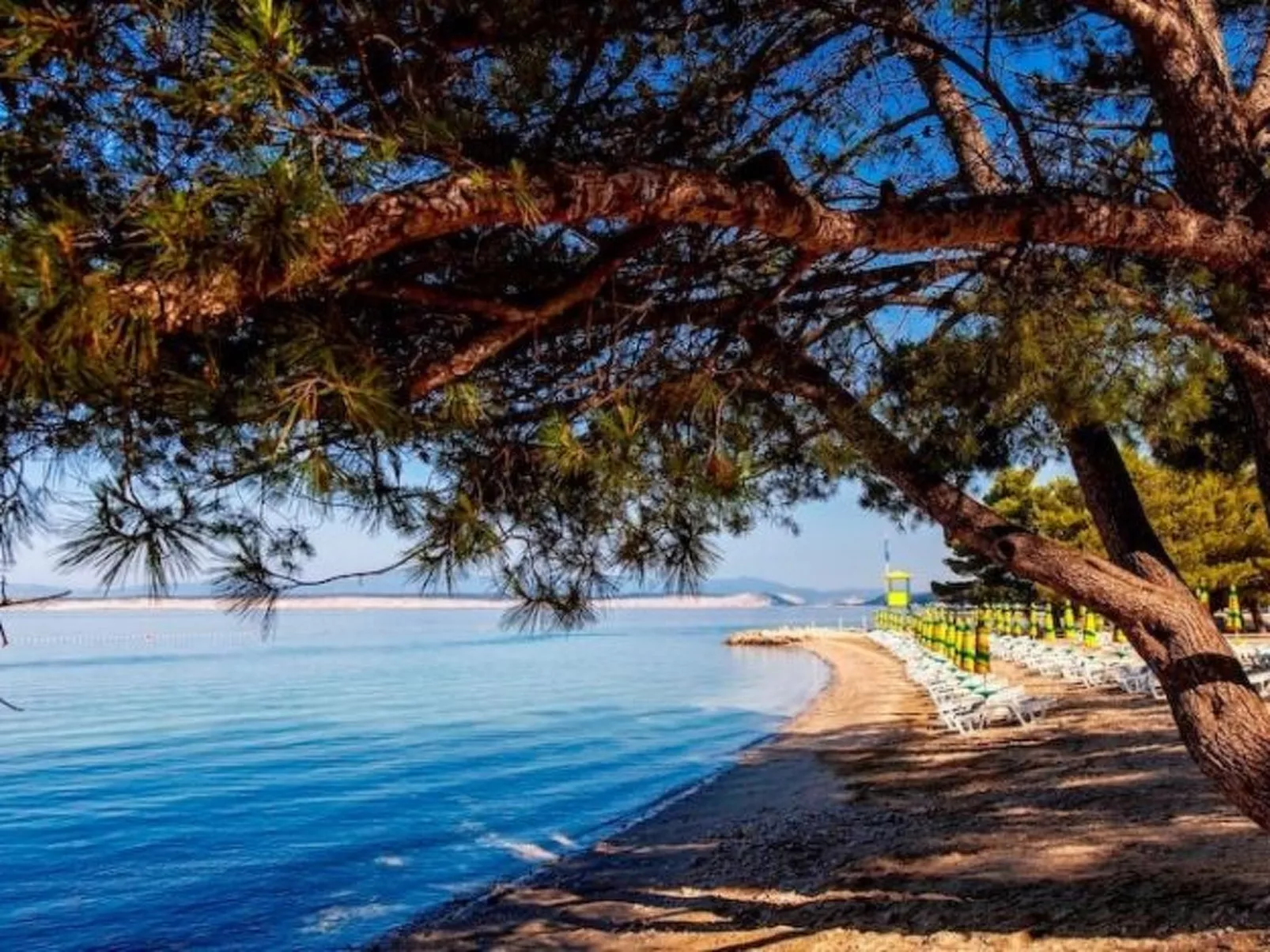 Wohnung für 5 Personen mit Balkon-Buiten