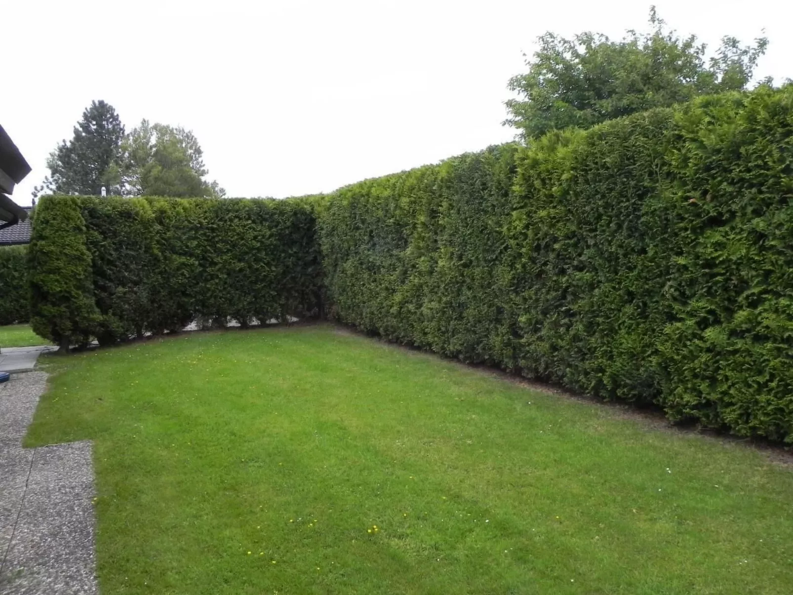 D4 Haus in Eckwarderhörne mit Terrasse und Garte-Buiten