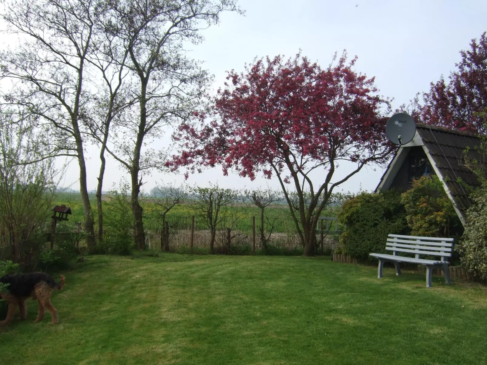Nurdachhaus Klabautermann mit Terrasse und Garten - Buiten