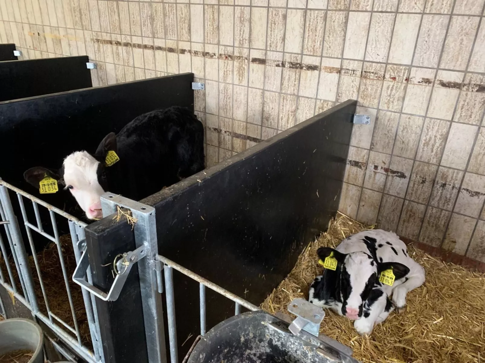 Hof Hinloopen-Image-tags.info