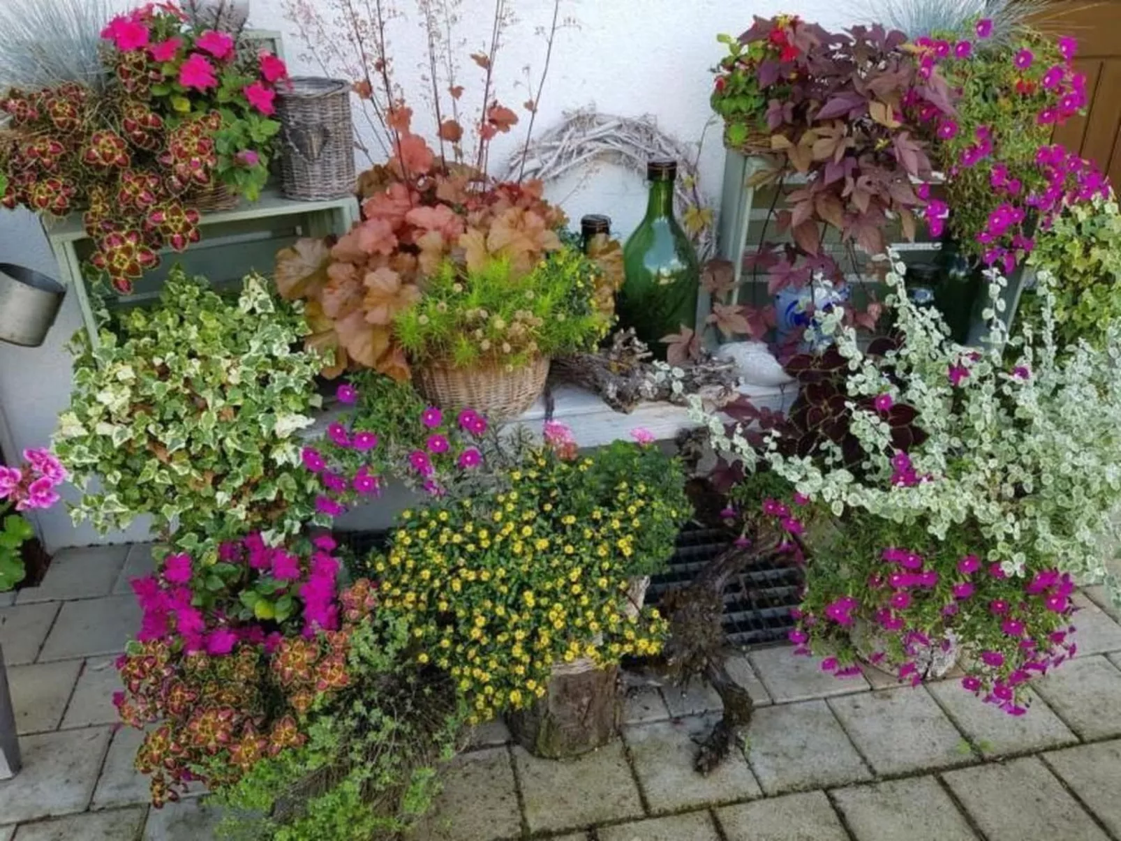 Pünthof-Image-tags.info