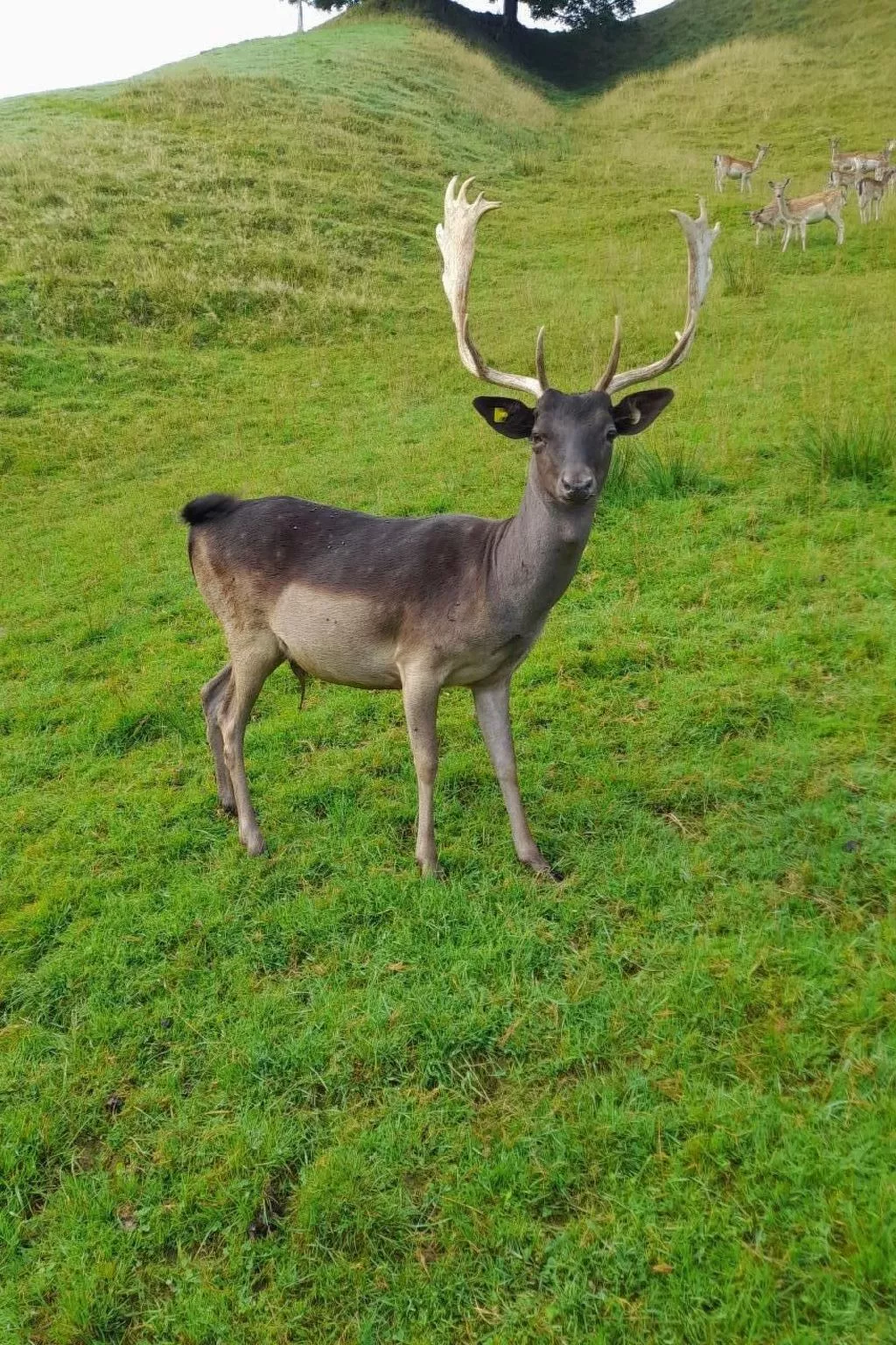 B & B auf dem Bauernhof-Buiten