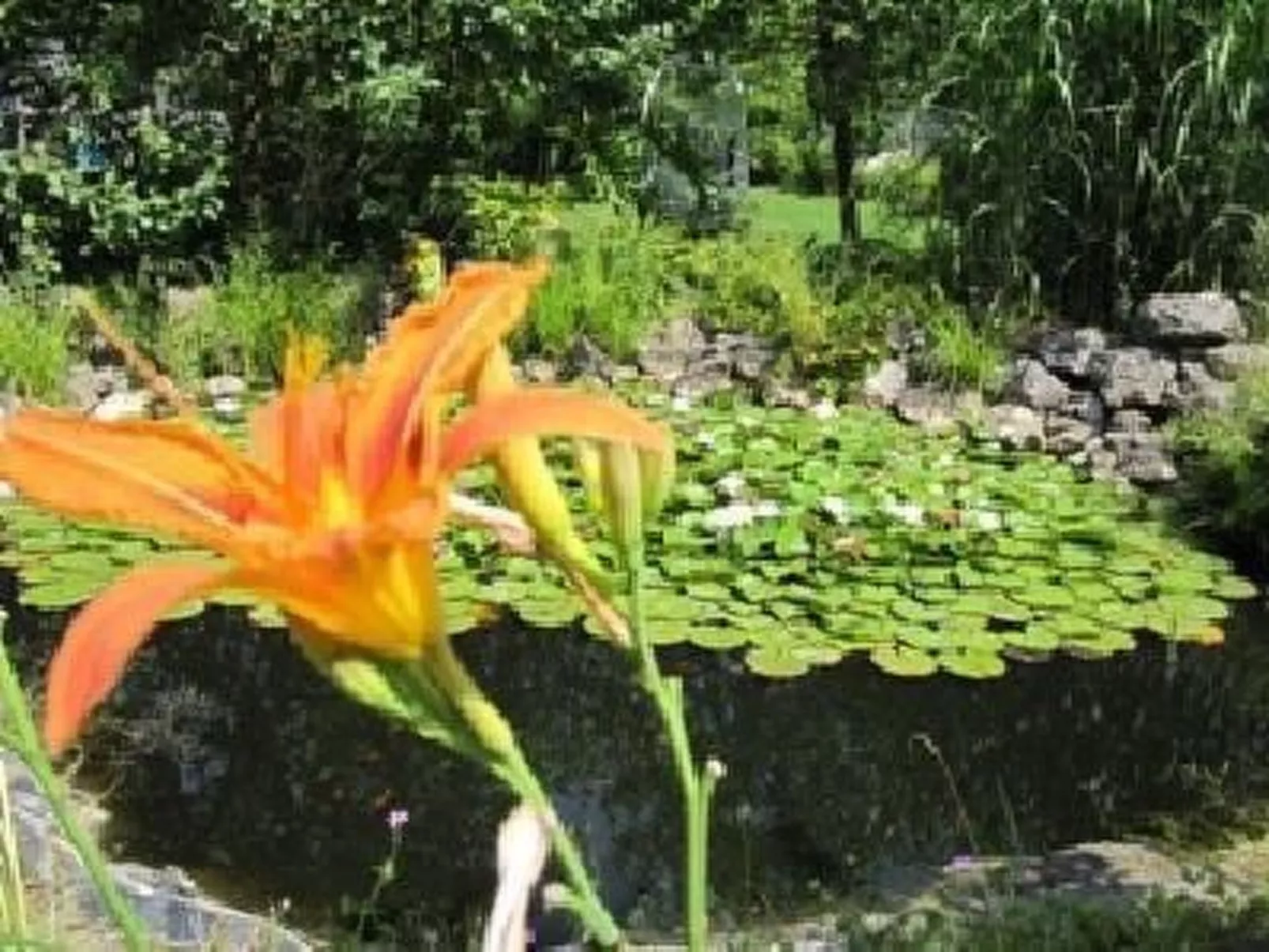 Blaues Haus-Image-tags.info