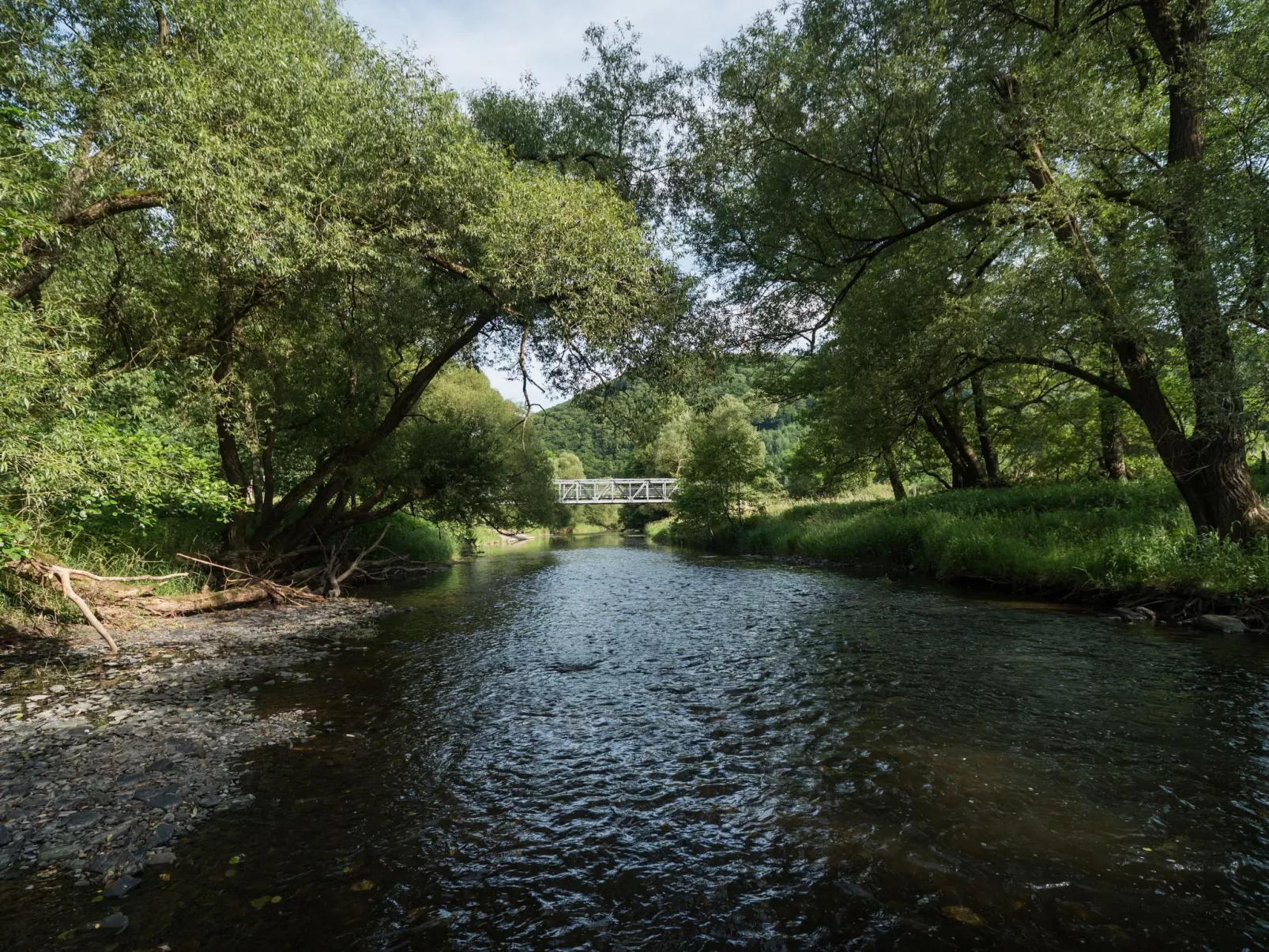 In Waldbreitbach mit Whirlpool - Buiten