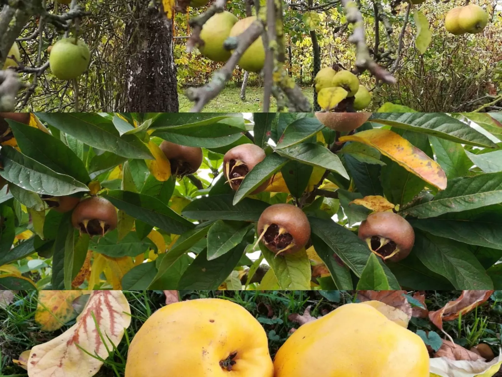 Janet Ratschkowski-Buiten