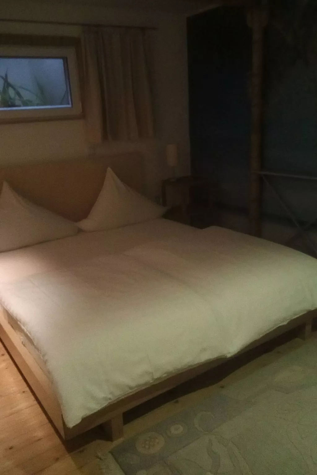 Urlaub am Feigenbaum in Nußloch