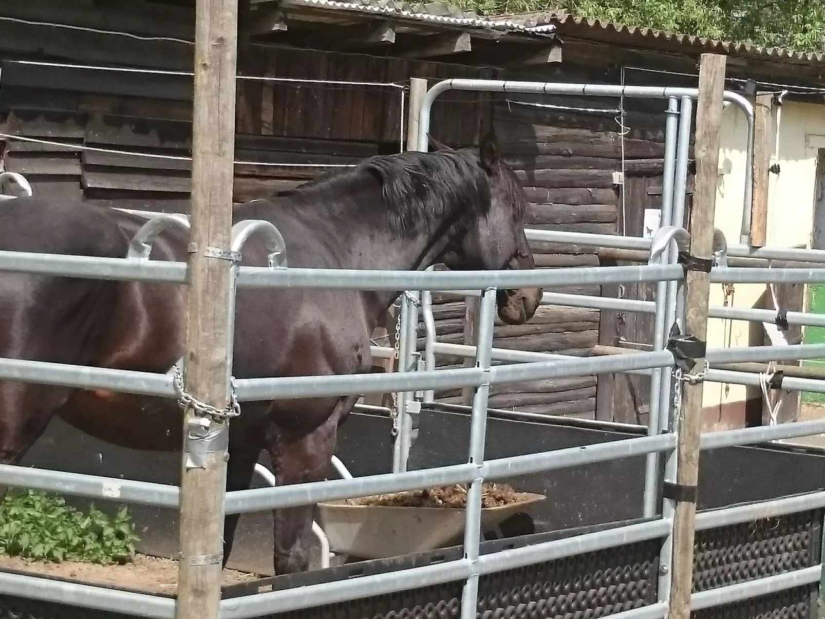 Apartment Laurence-Image-tags.info