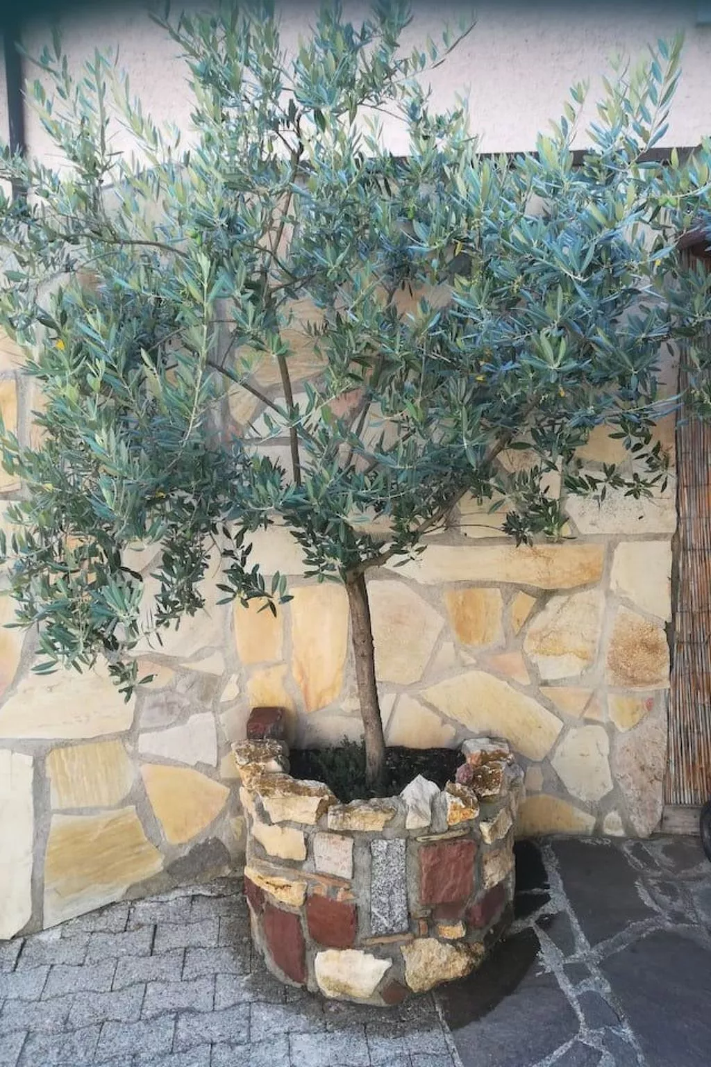 Tolle Ferienwohnung in Burkheim-Buiten