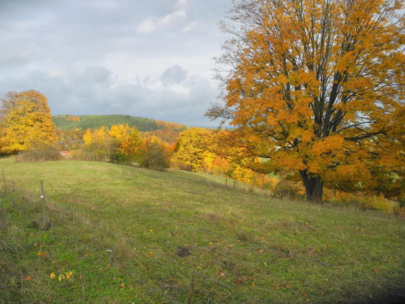 Kleine, gemütliche Ferienwohnung im Erholungsort-Buiten