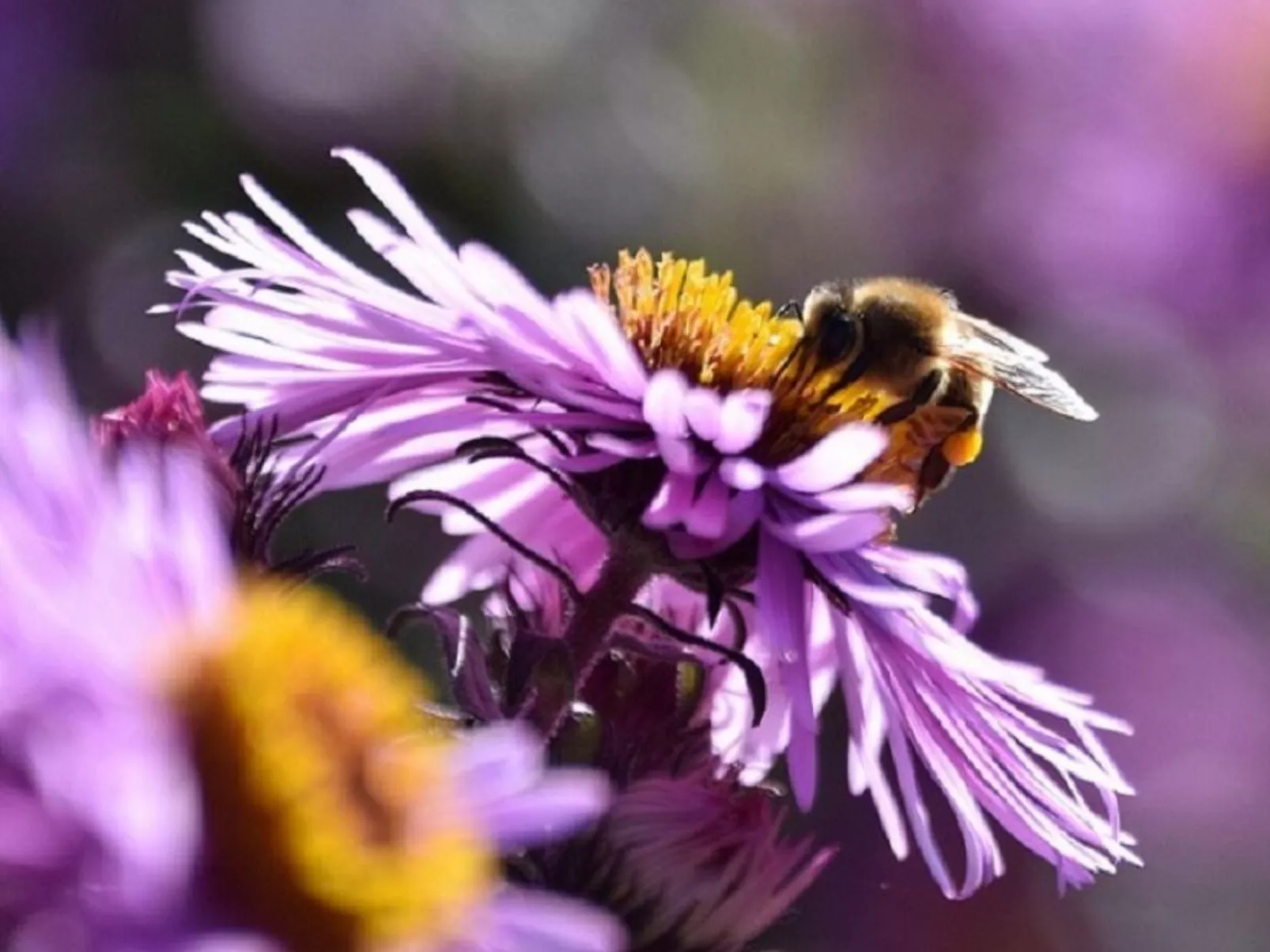 Stadt Apartement-Buiten