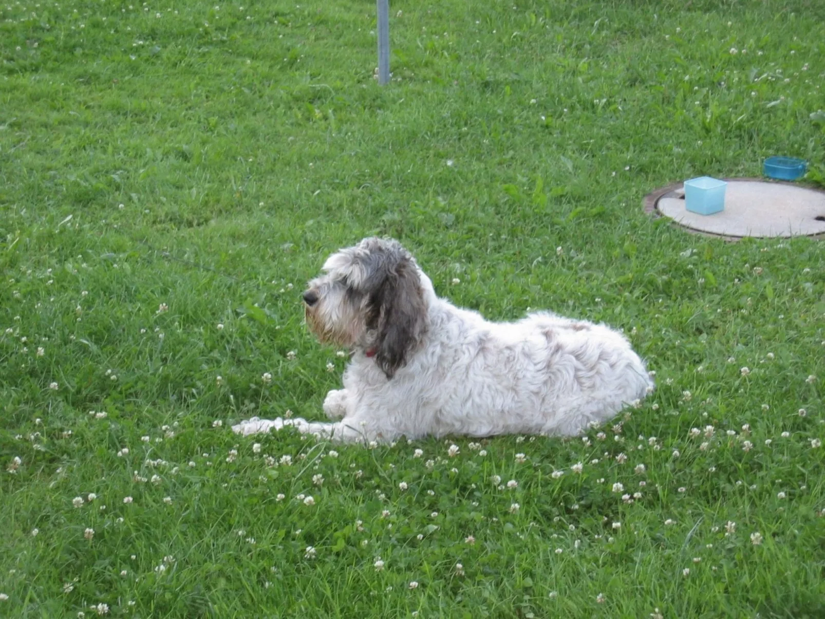 Appartement in Wittenschwand-Buiten