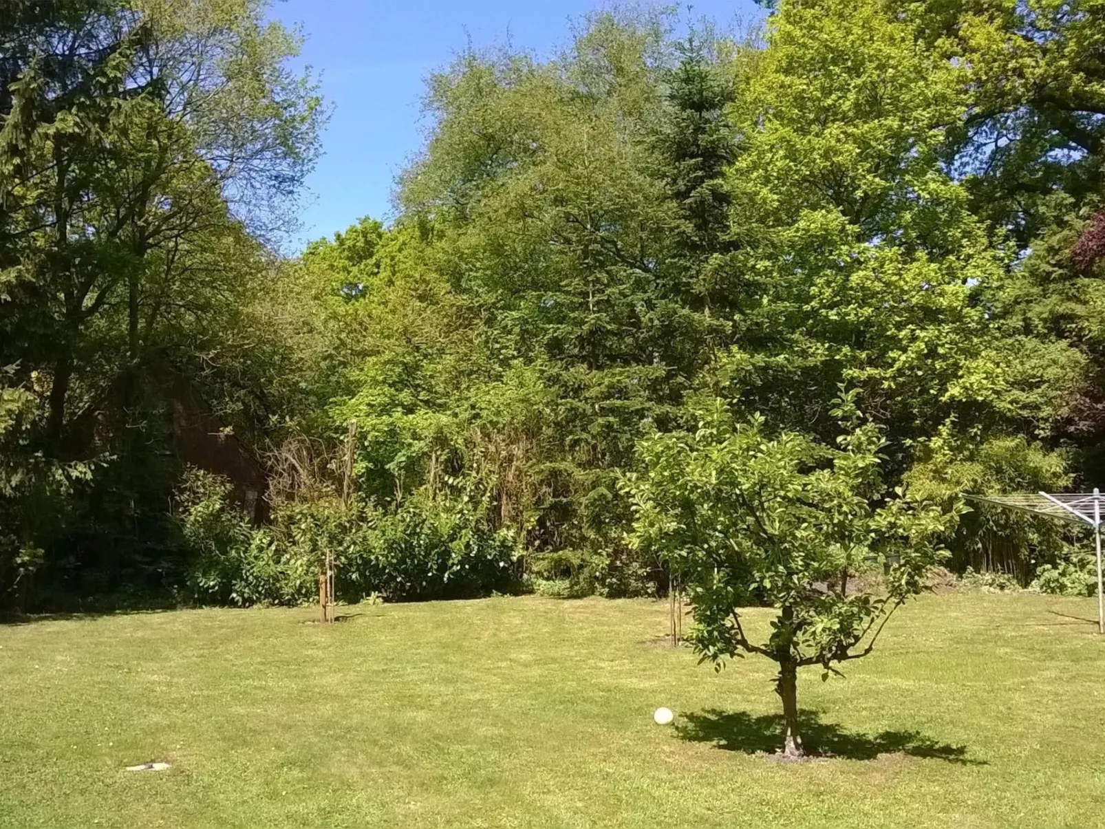 Zentrale Ferienwohnung mit Terrasse - Buiten