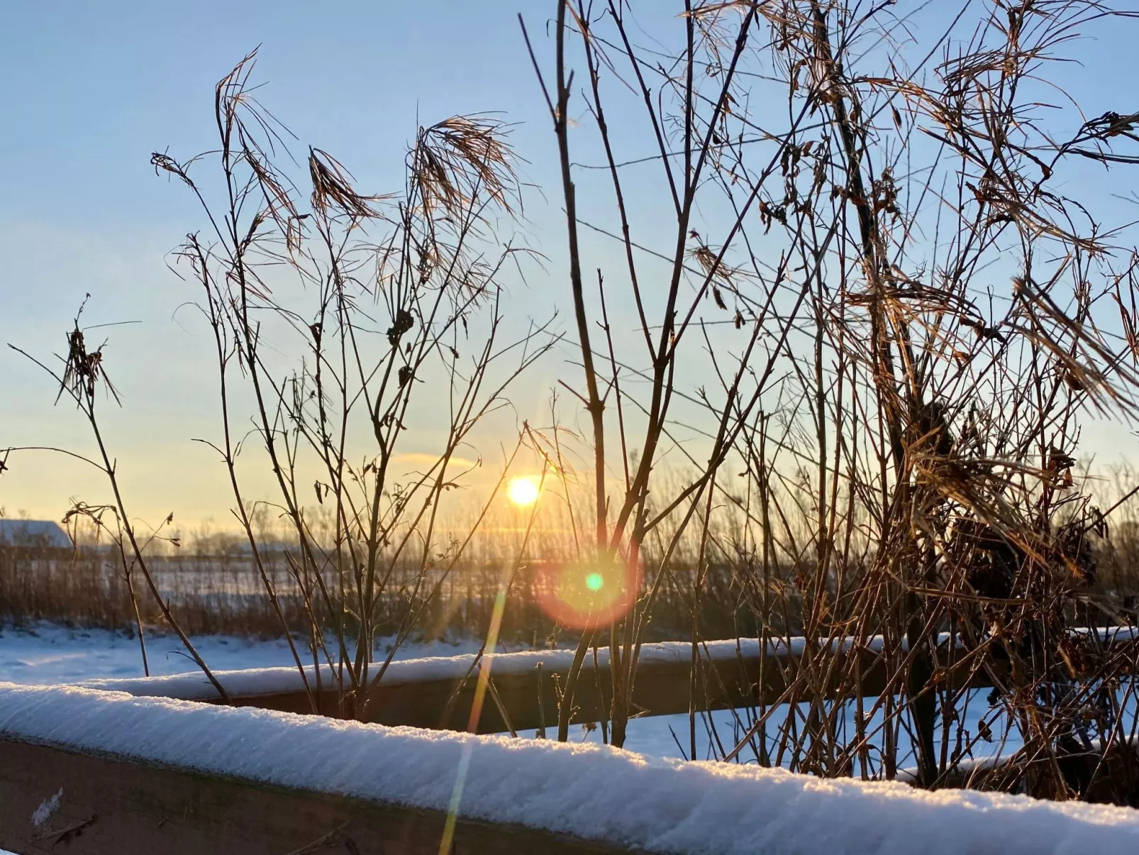 Reetdachhaus für erholsamen Familienurlaub-Image-tags.info