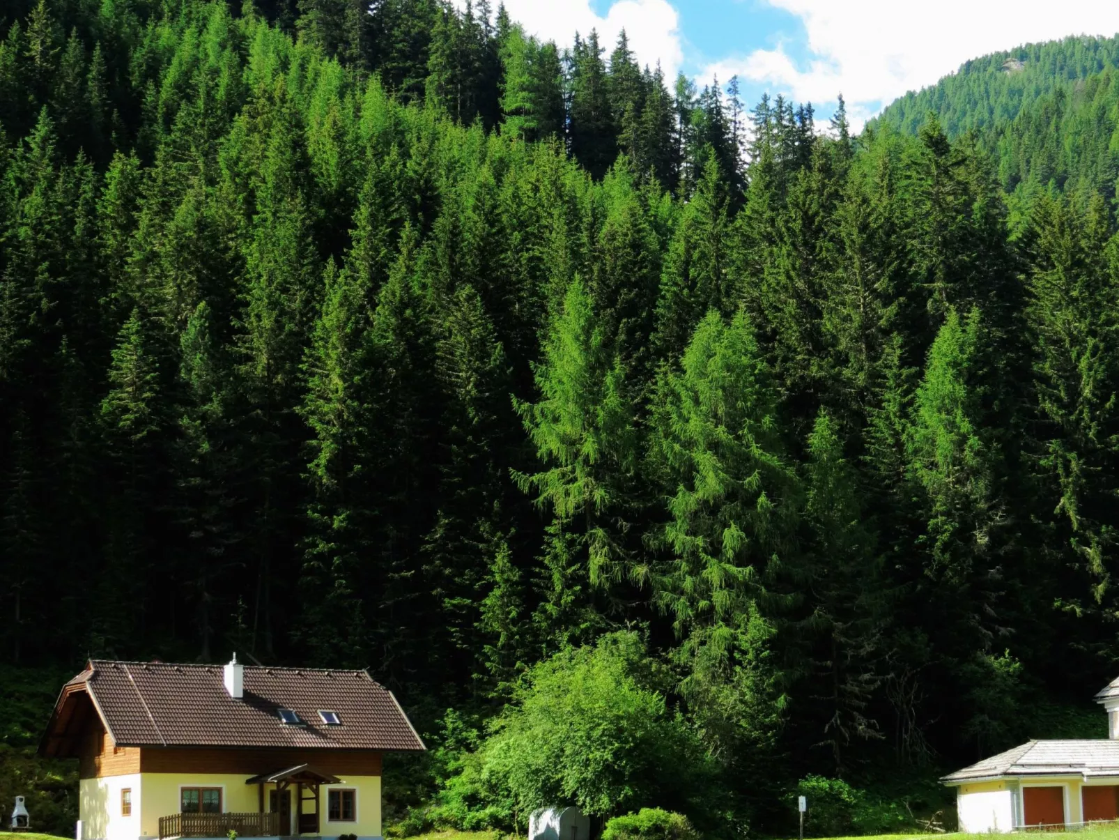 Gemütliches Ferienhaus in ruhiger Lage - Buiten