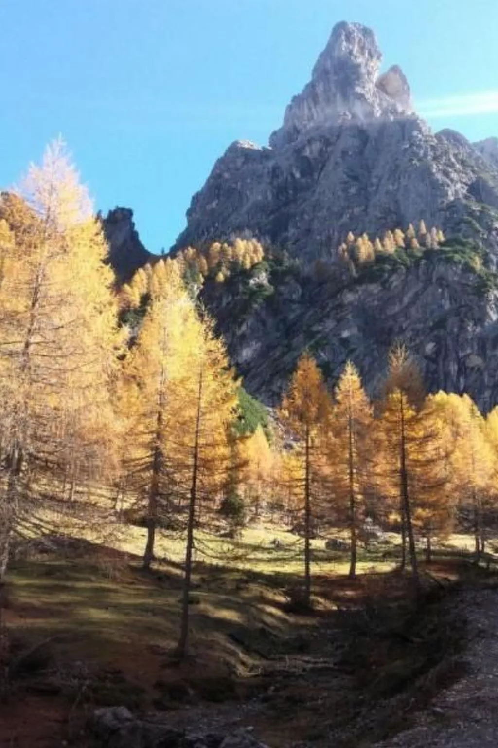 Charmantes Ferienhaus mit Whirlpool-Buiten