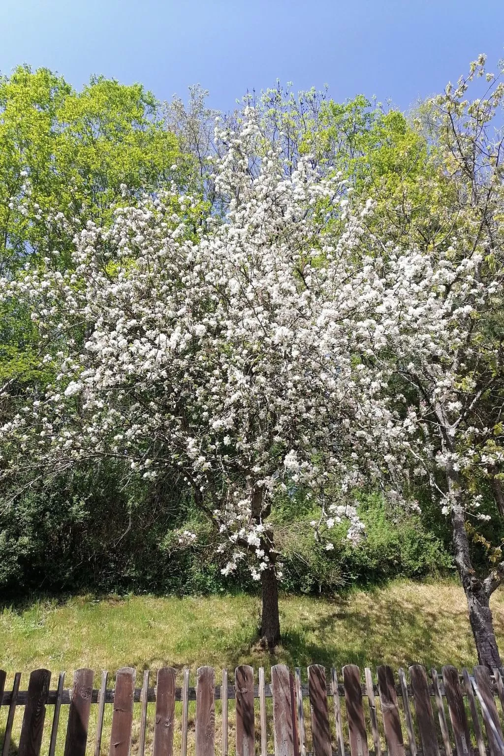 Riedbach in Mutters-Image-tags.info