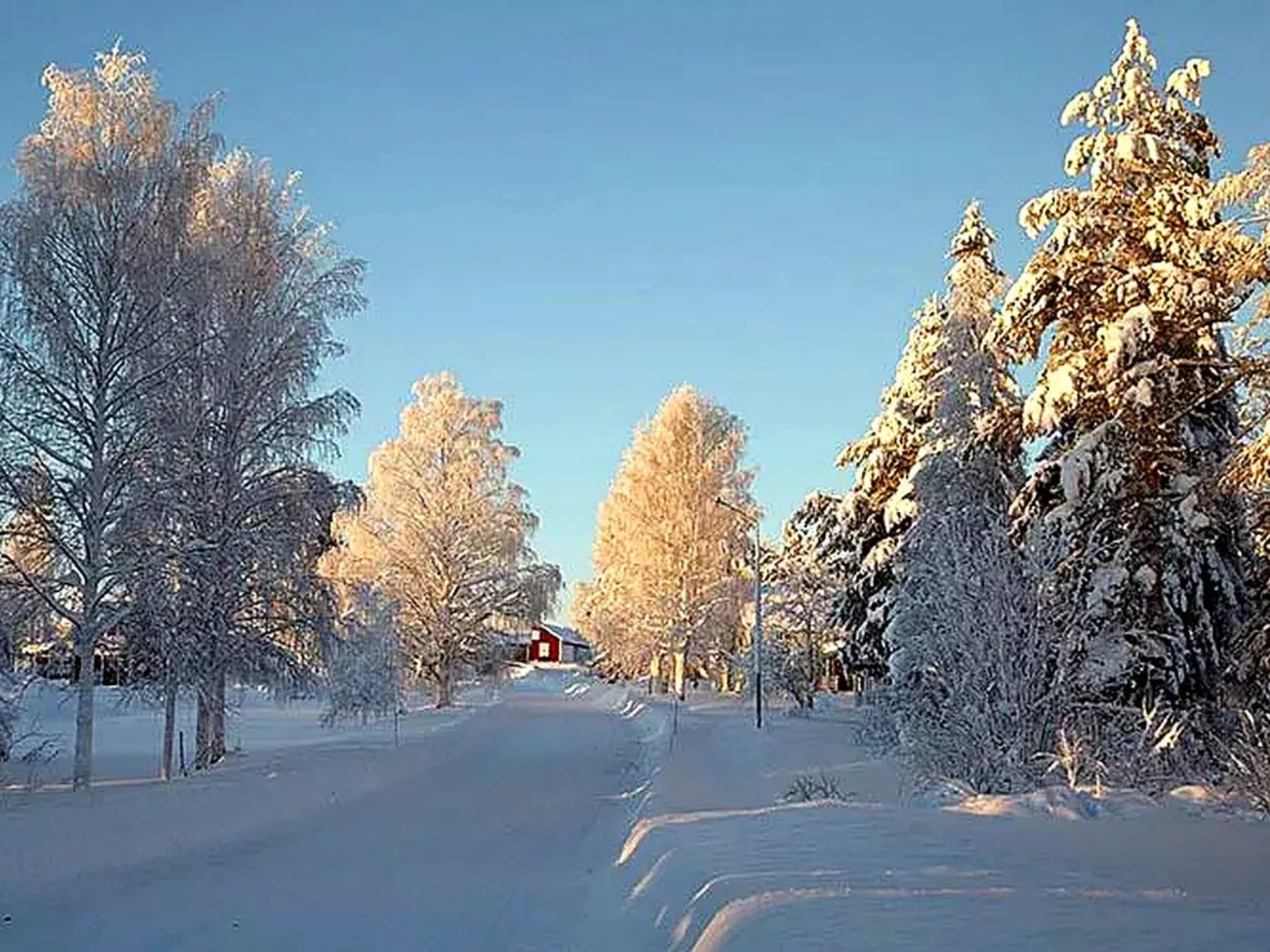 Am Wald mit Kaminofen und Veranda-Buiten