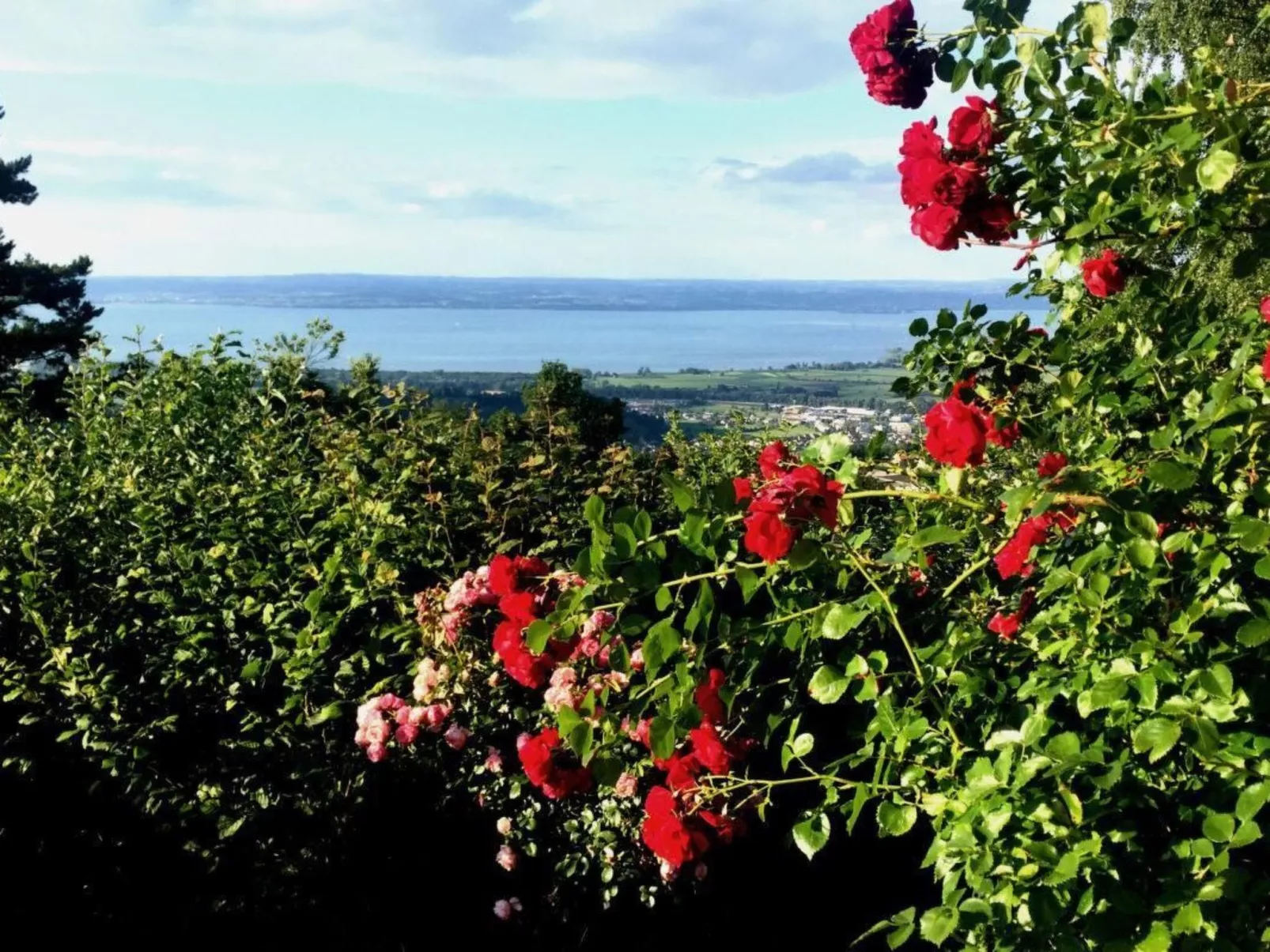 See in Sicht-Image-tags.info