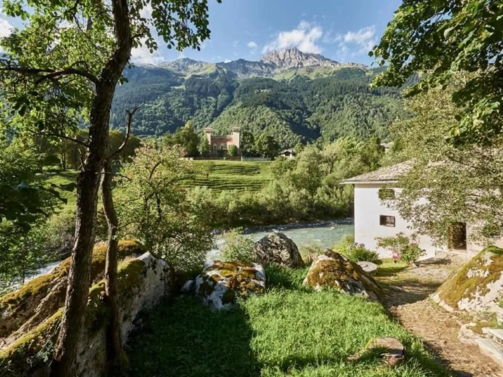 Palü-Image-tags.info