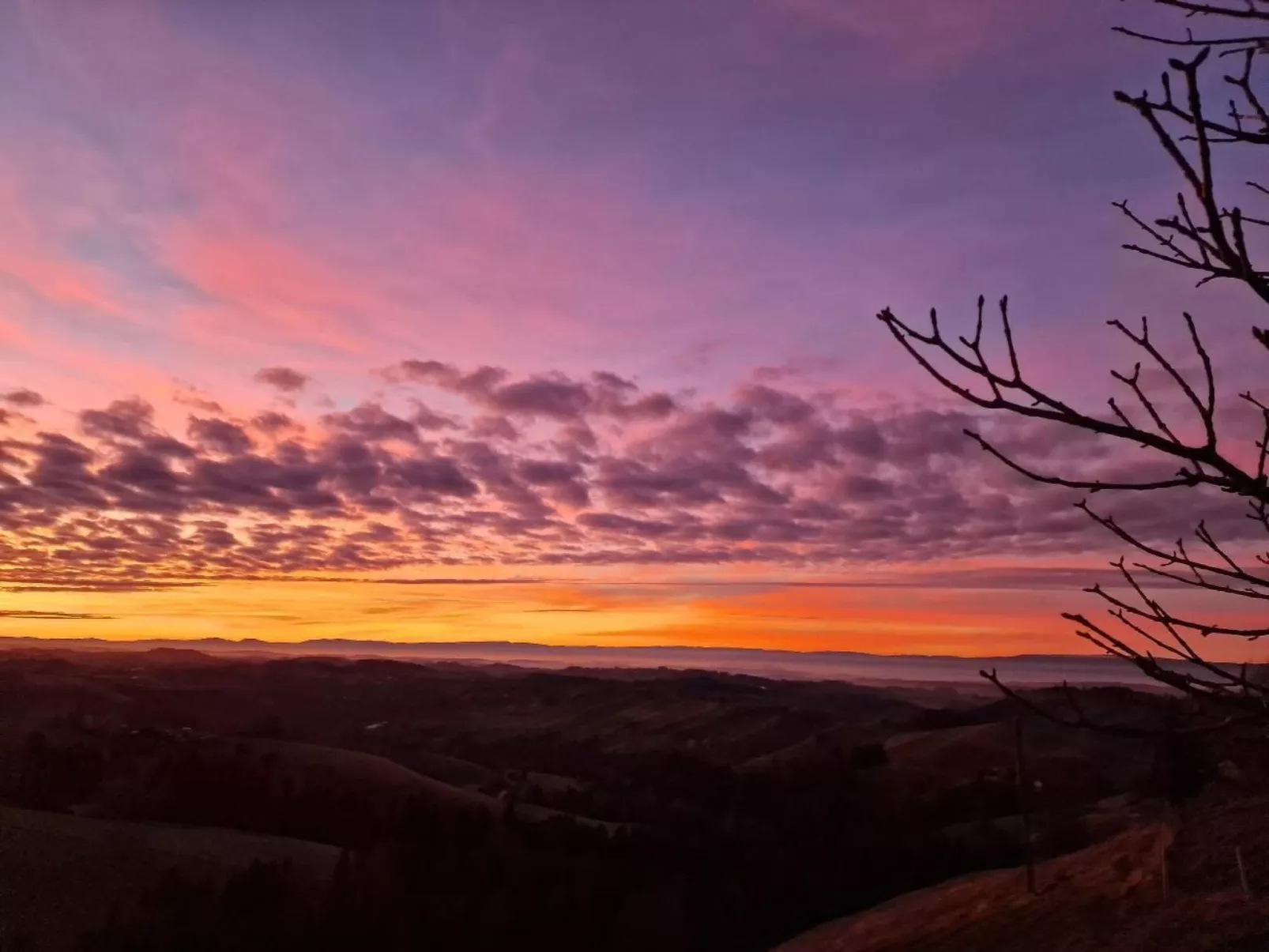 Wellness Oase-Buiten