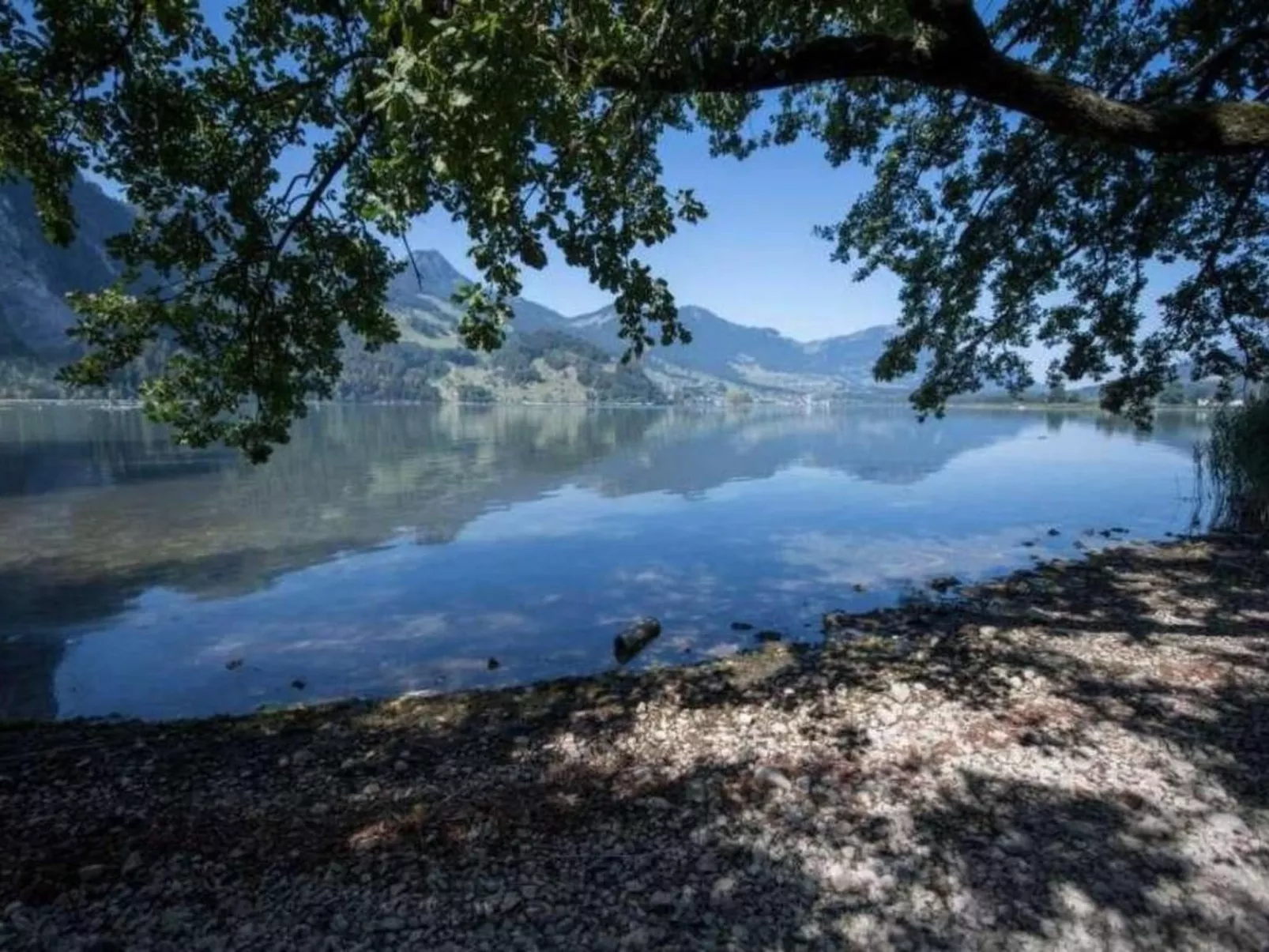 Guntern in Lauerz-Image-tags.info