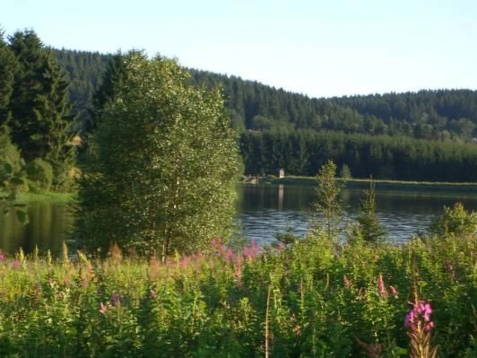 Ferienw. Natur pur-Buiten