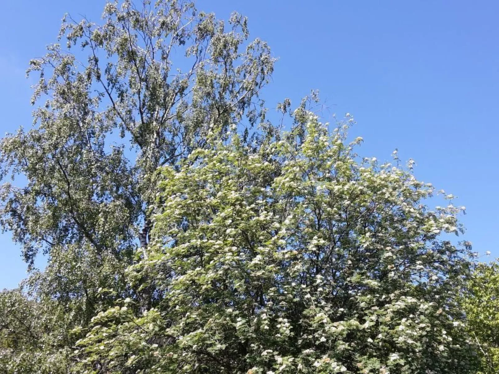 In Zendscheid mit Offenem Kamin-Image-tags.info