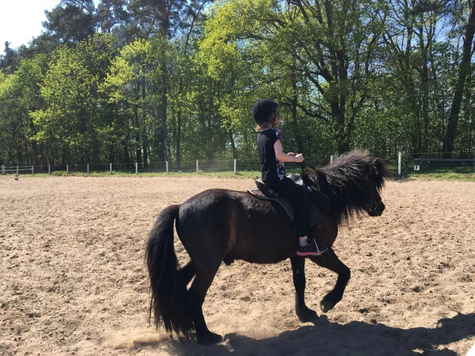 Müritz Ferienhaus-Image-tags.info