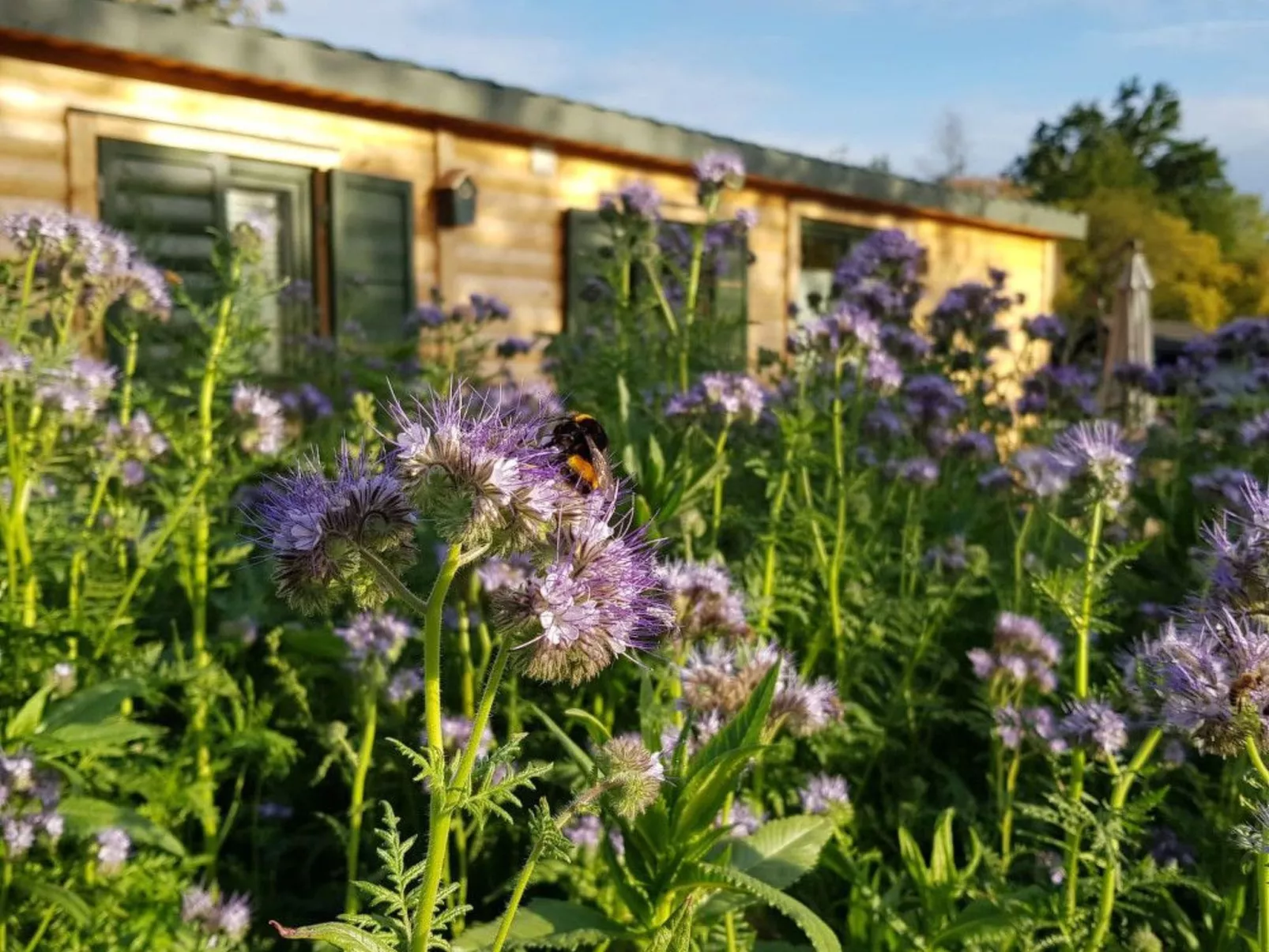 In Atzenhain mit Großer Terrasse-Buiten