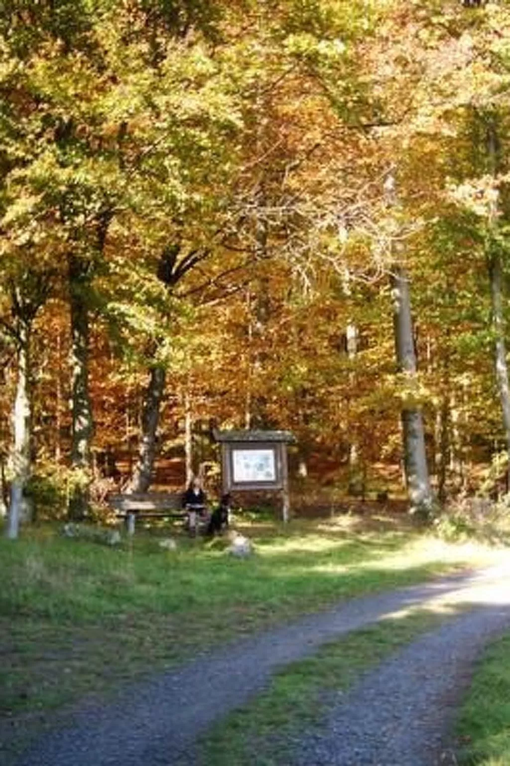 FEWO Juliana-Image-tags.info