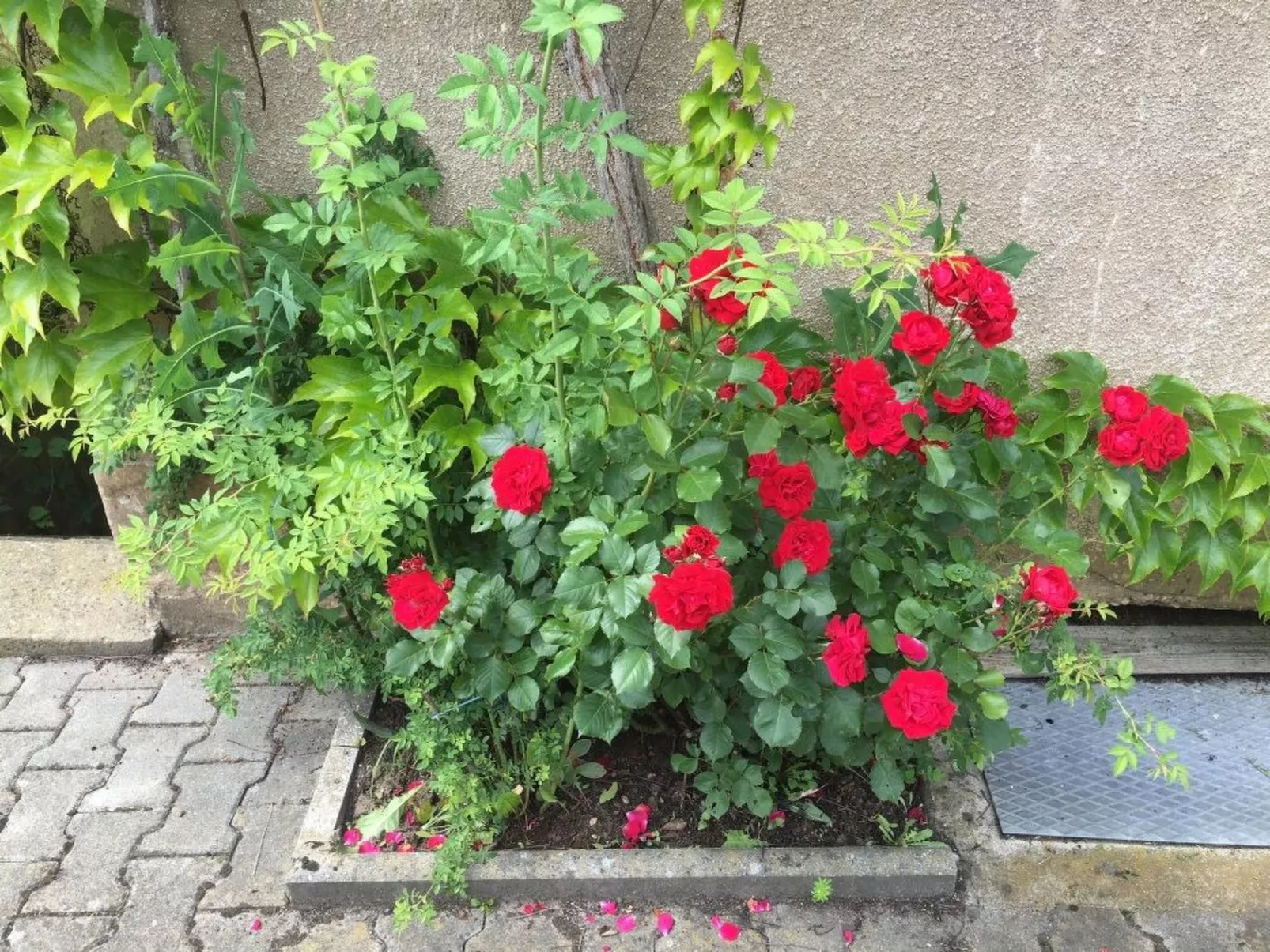 Große Ferienwohnung in Gosberg mit Terrasse, Garten und Grill-Image-tags.info