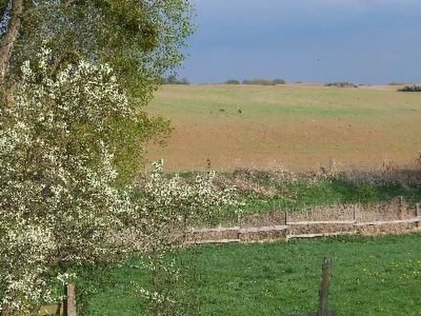Zu den drei Schönen-Buiten