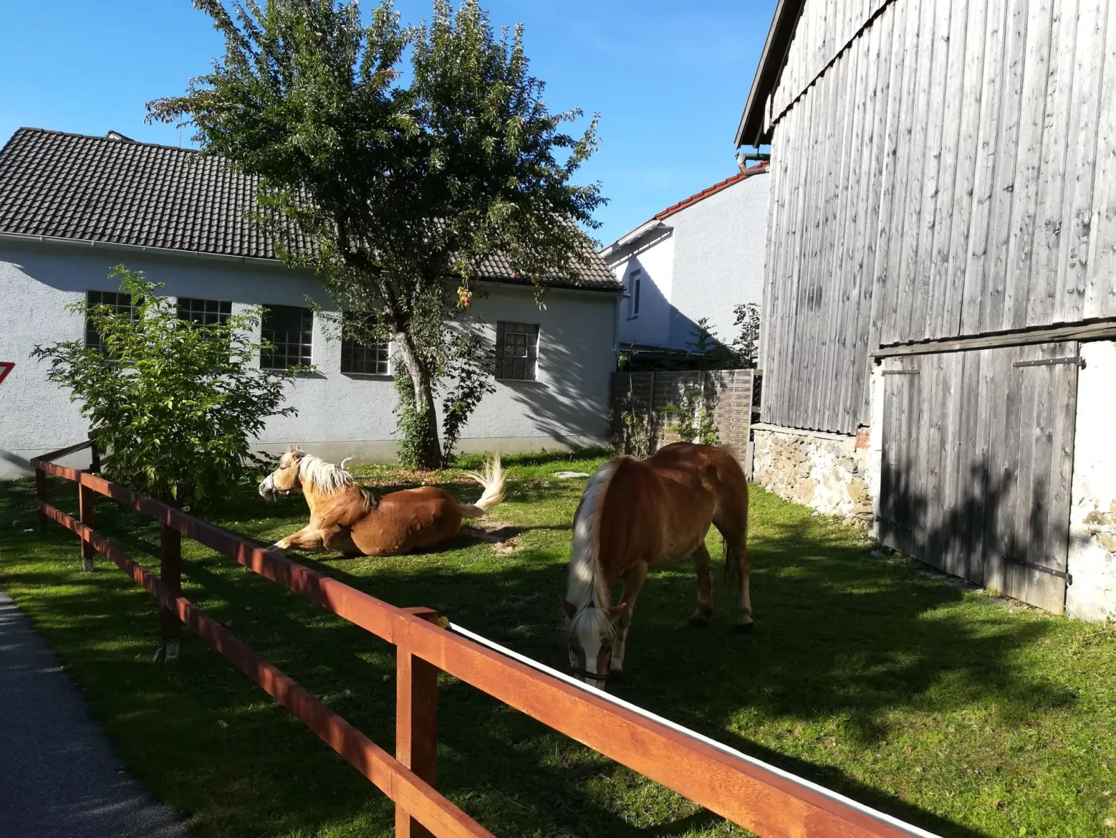 Typ B-Image-tags.info