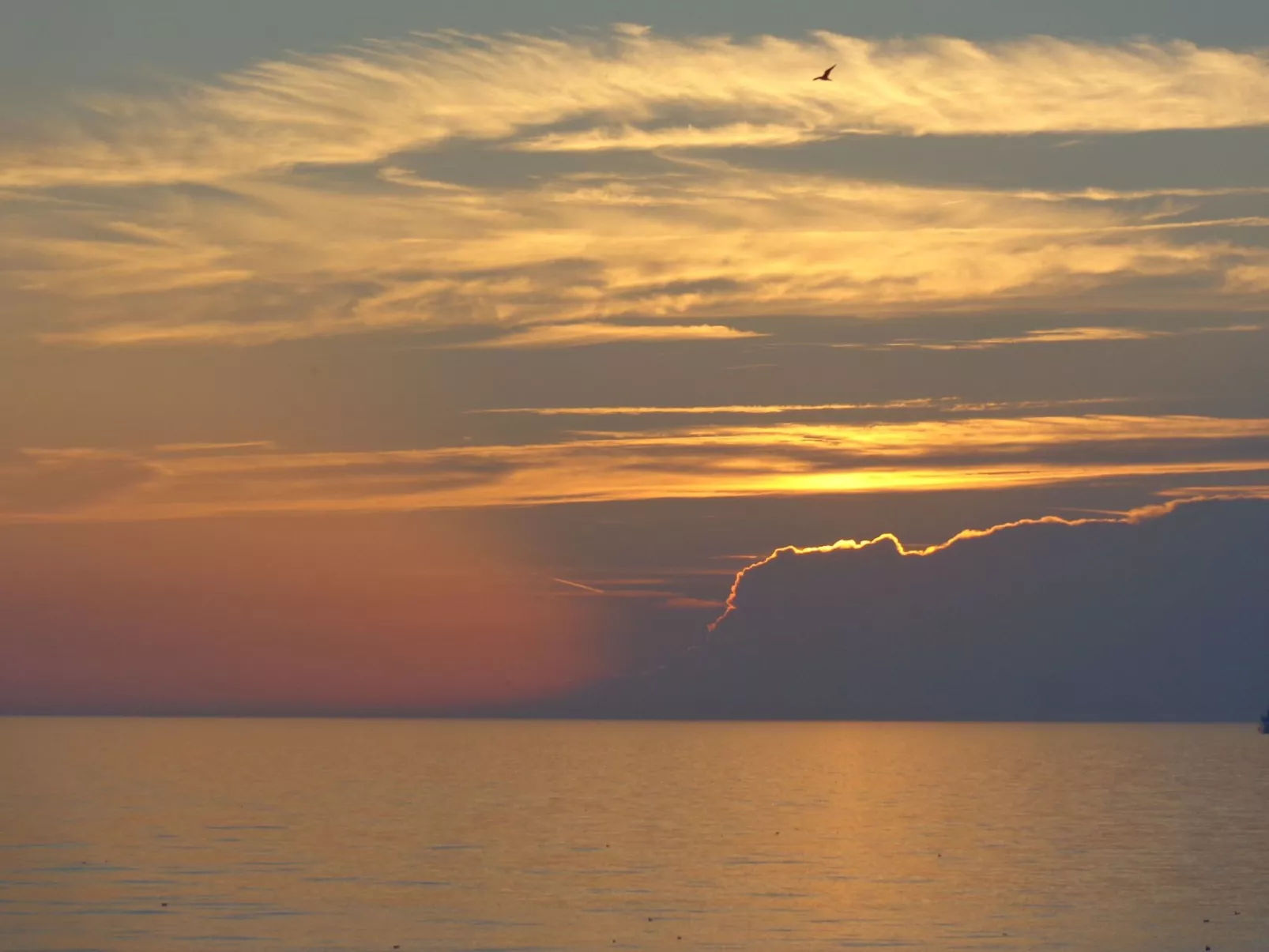 "De Blenck" mit privatem Garten und Terrasse-Buiten