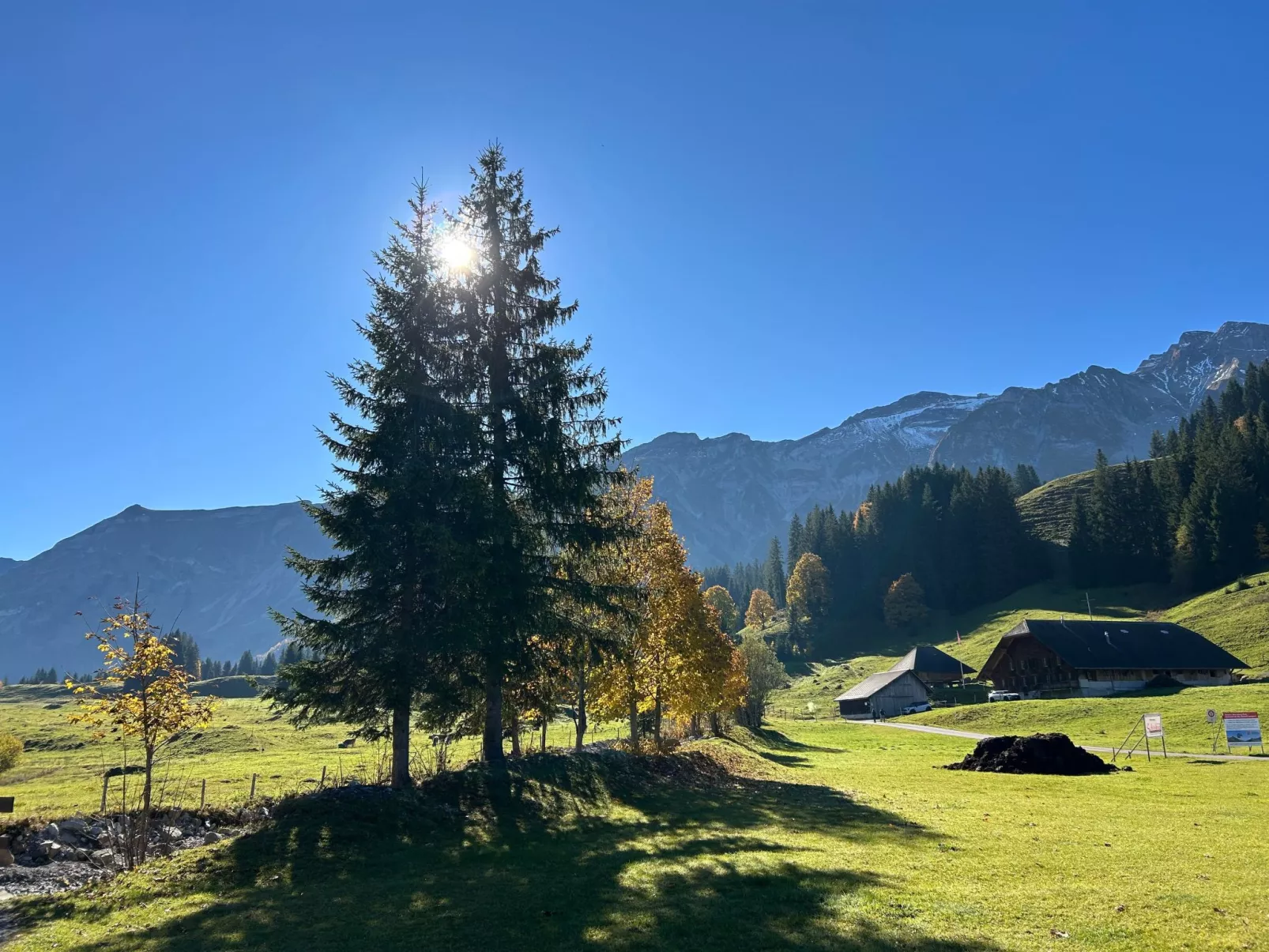 Wohnung Hirschi-Buiten